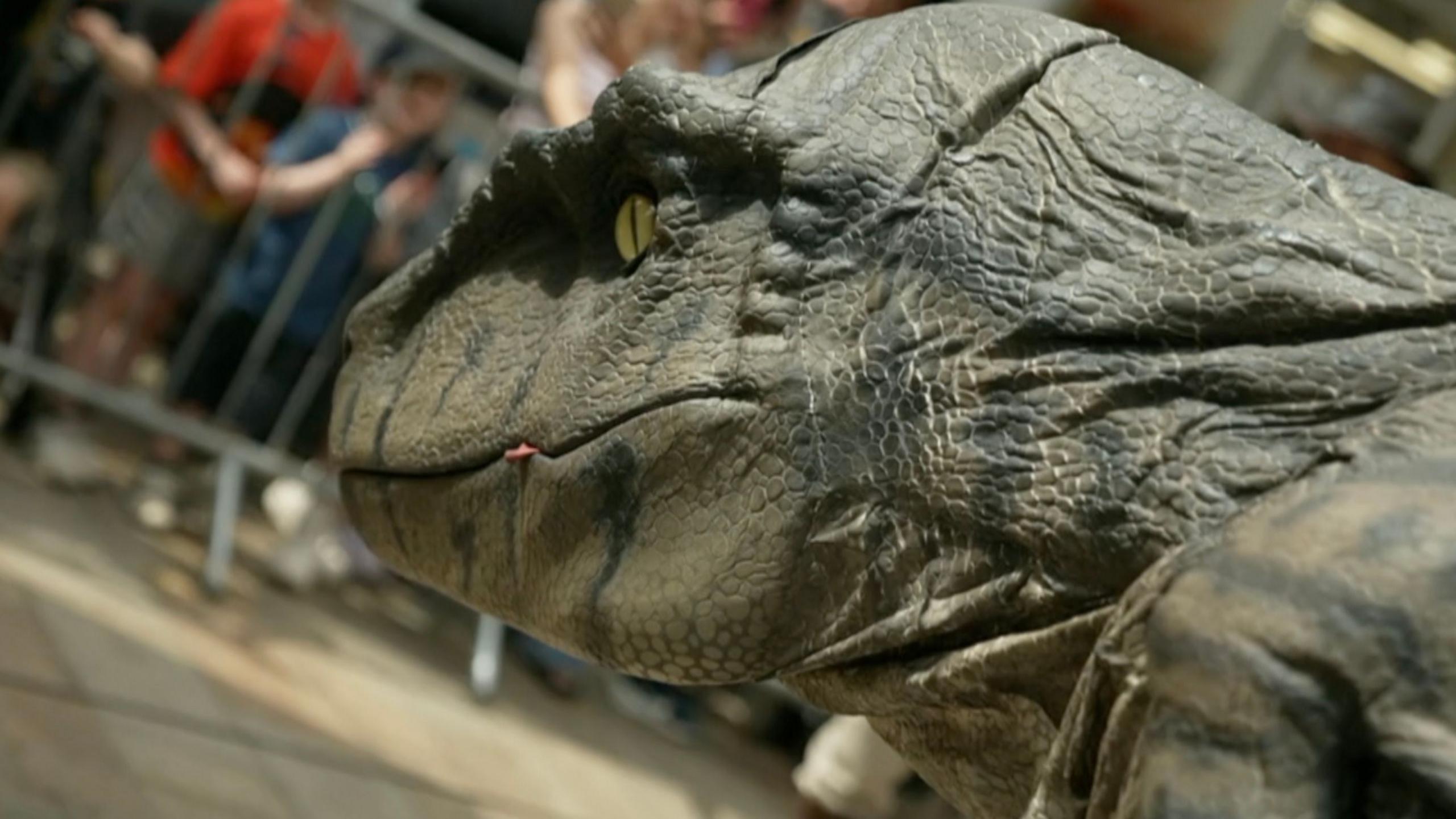 A close-up of the head and neck of a large dark grey dinosaur puppet with a yellow eye, looking towards a crowd of people behind a crash barrier.