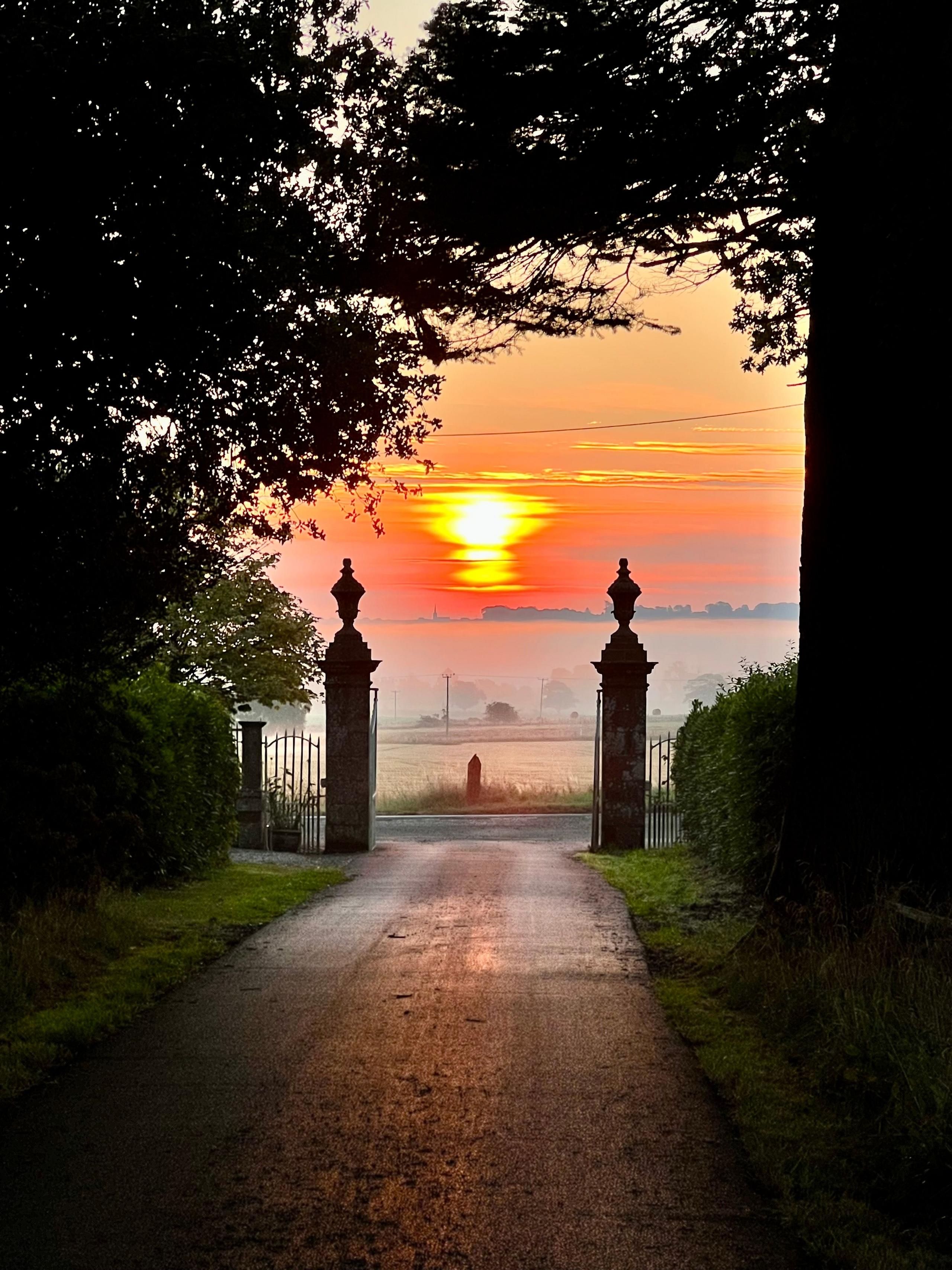 Image of a sunrise near Montrose taken a way back looking down a path and through a grand-looking gate to a fiery orange sky.