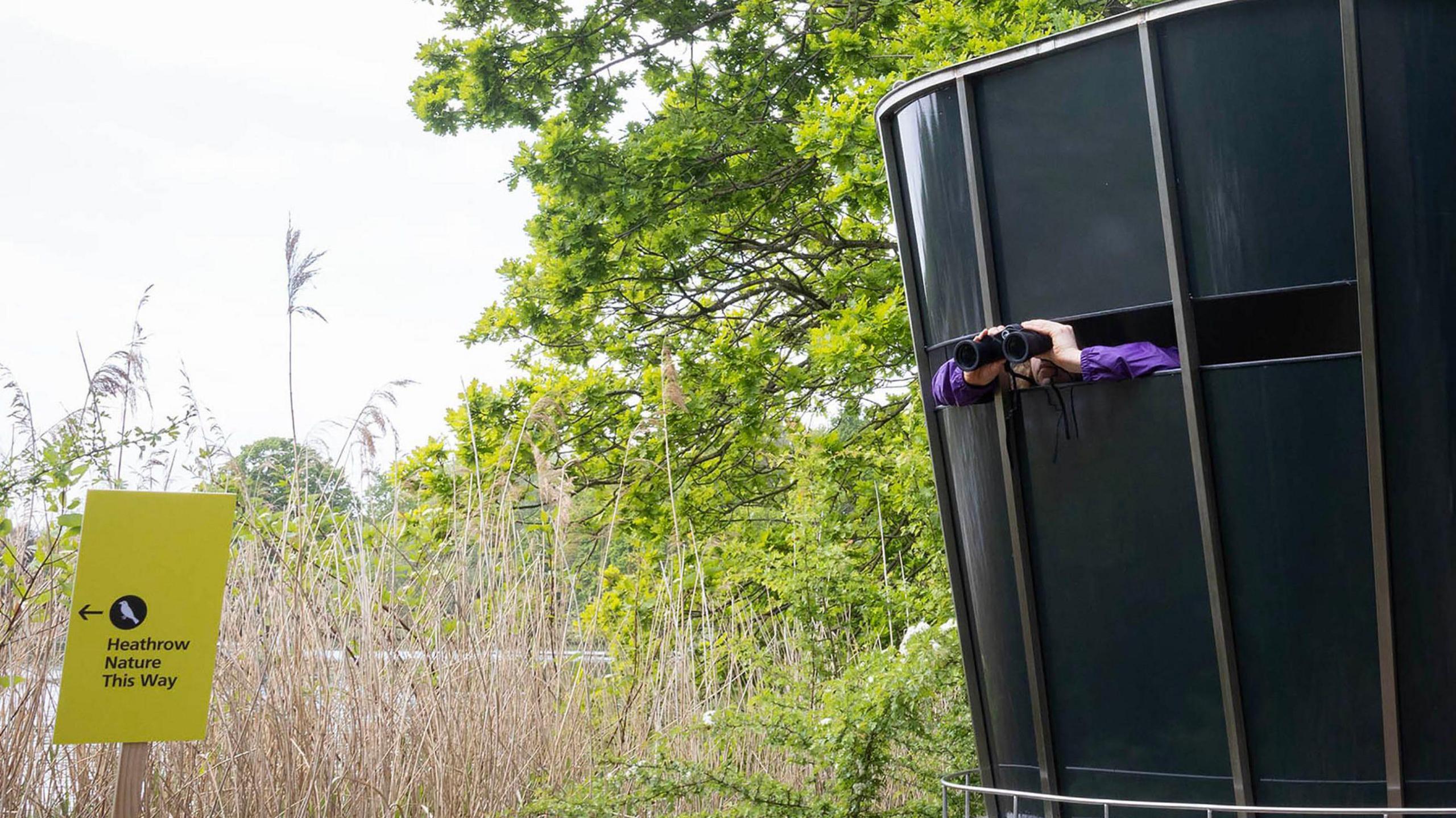 A pair of hands holding a large pair of binoculars protrude from the gap in the bird hide, a black plastic structure. There are trees and water visible in the background.