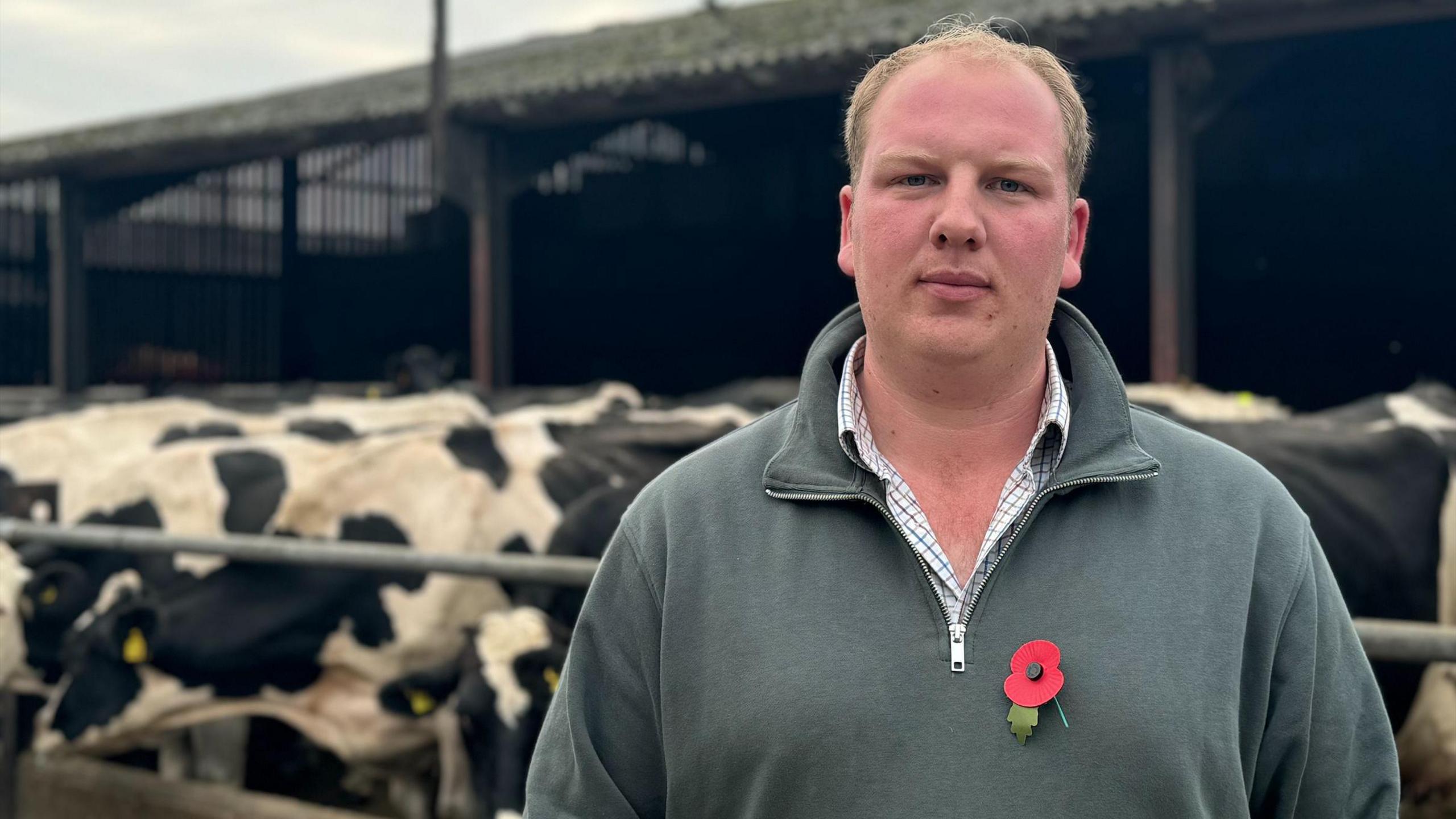 Edward Stevens is pictured facing the camera on his farm. He wears a grey top with a Royal British Legion poppy. Behind him are dairy cows in a barn.