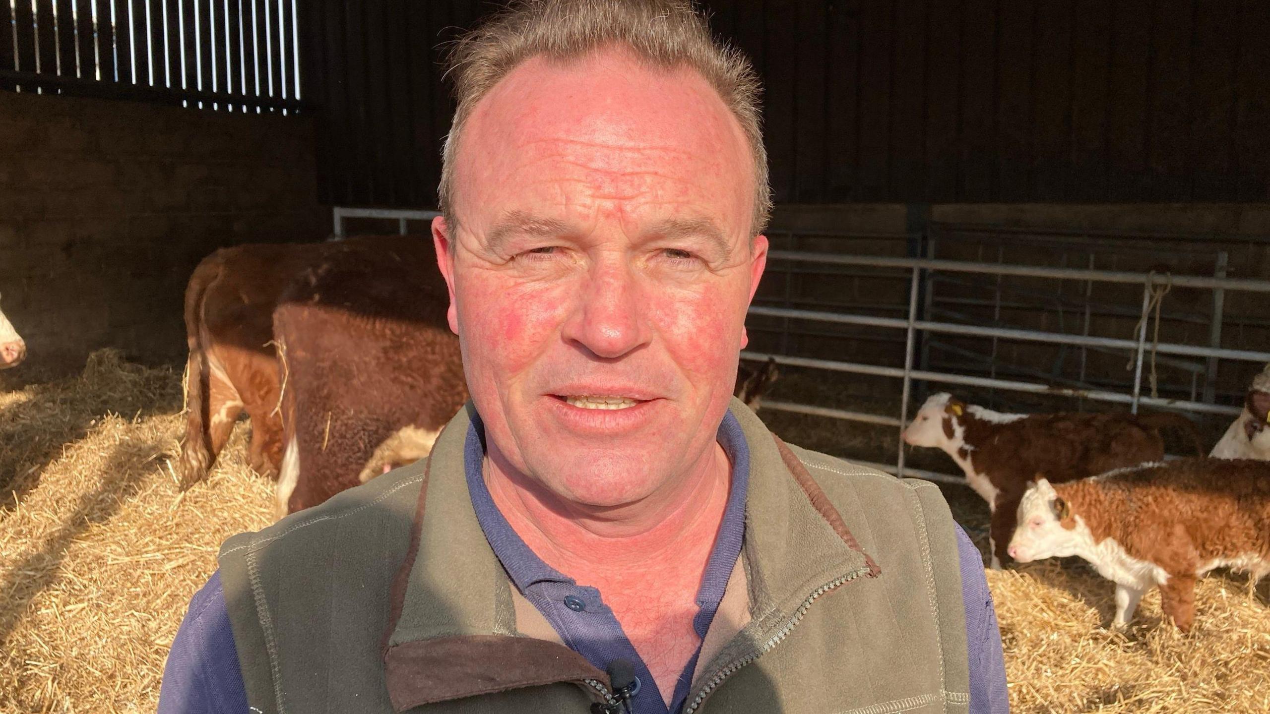 Chris Blaxell wears a blue polo top and a green gillet. He is standing in a cattle barn with cows behind him and the floor is covered in hay. 