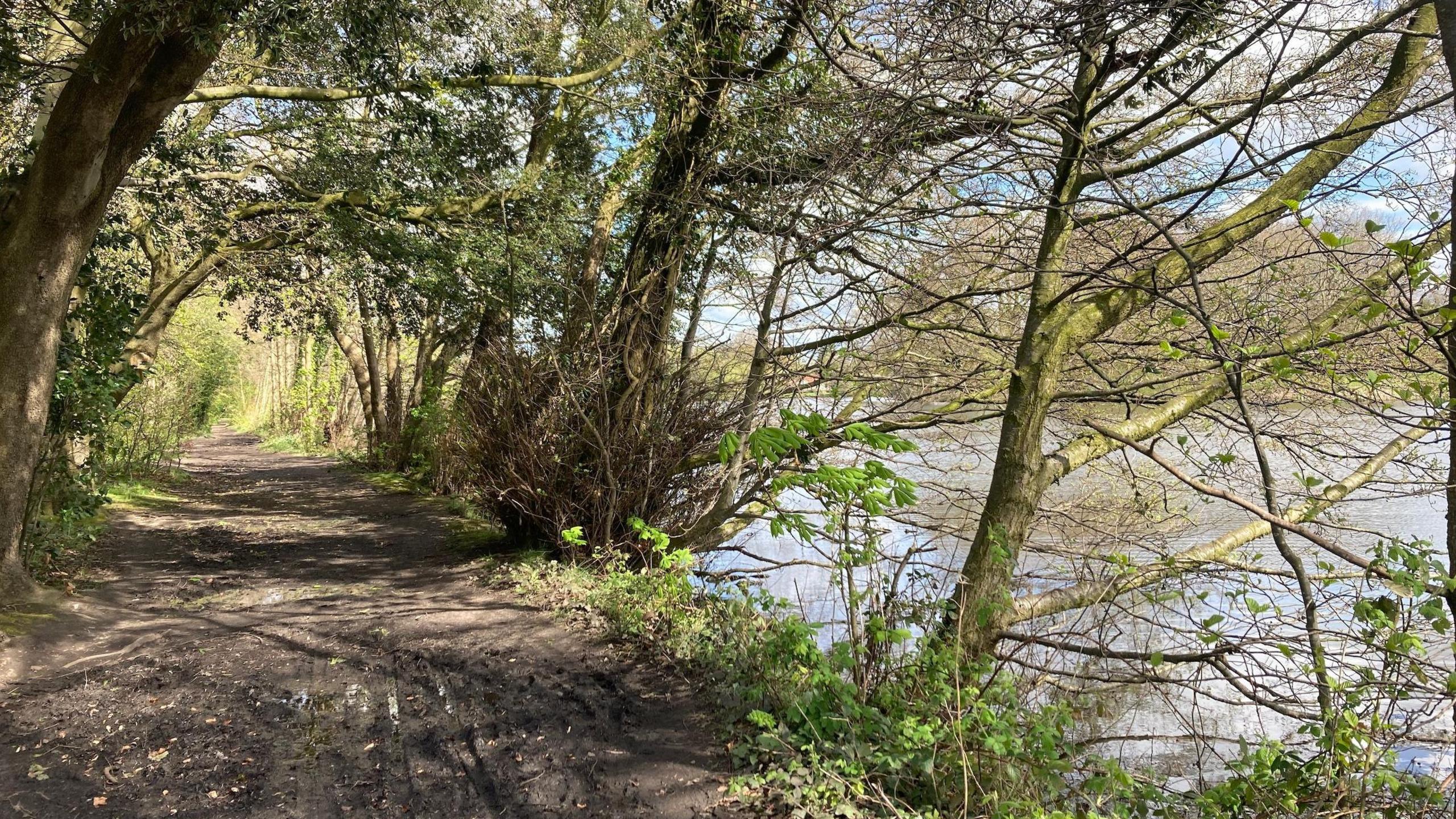 Poynton Pool