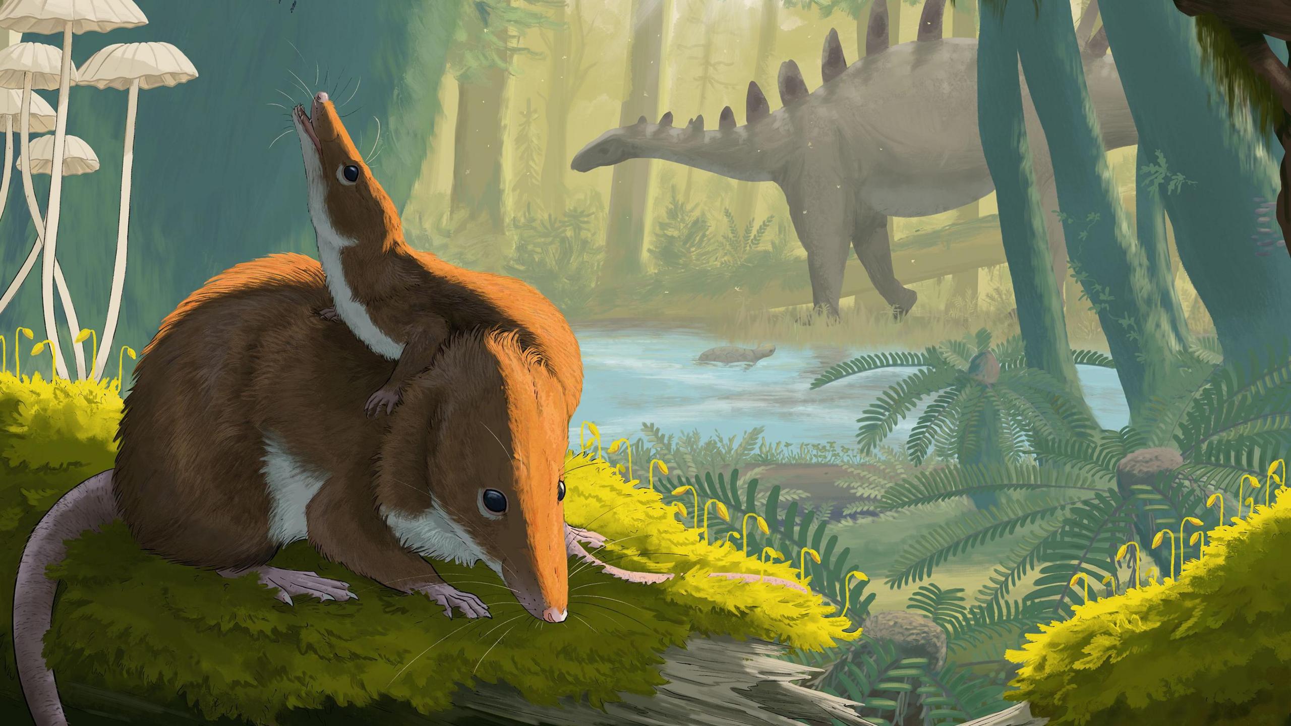 The picture shows a small Jurassic mammals known as Krusatodon kirtlingtonesis  