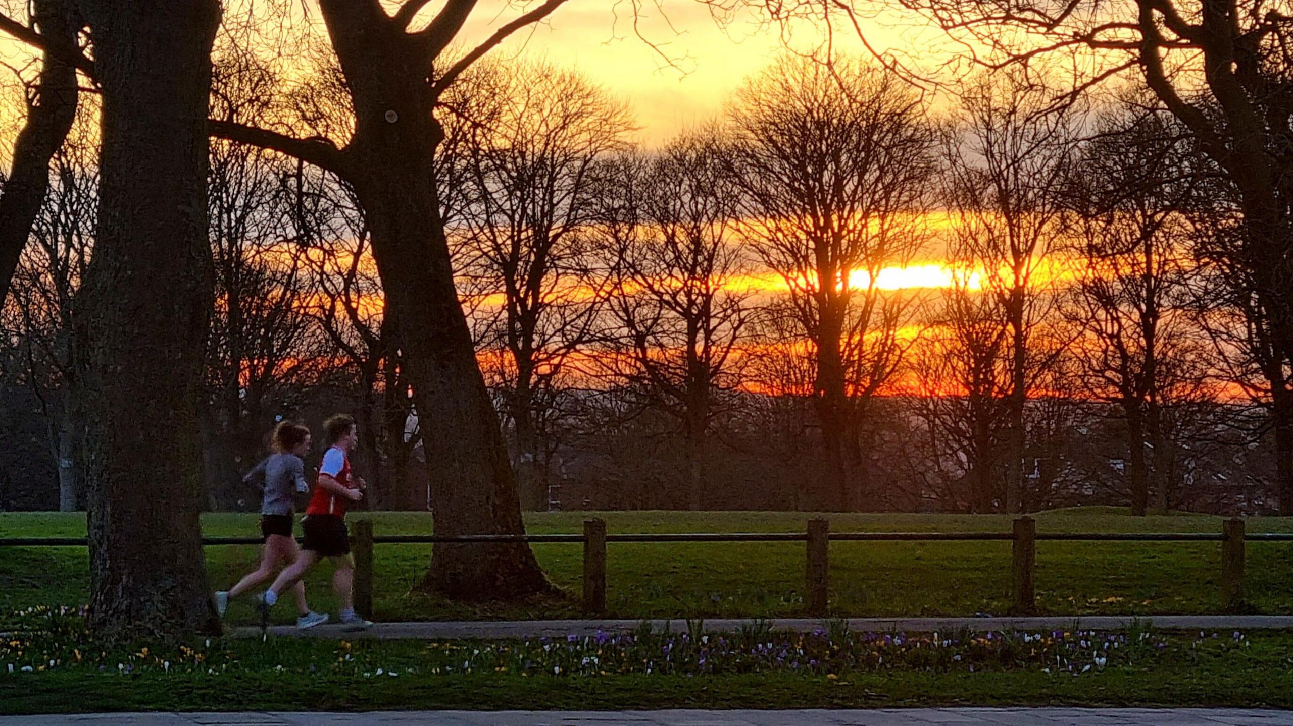 A park at sunset. Trees can be seen in the background, with grass in front. Two runners can be seen in the left of the picture.