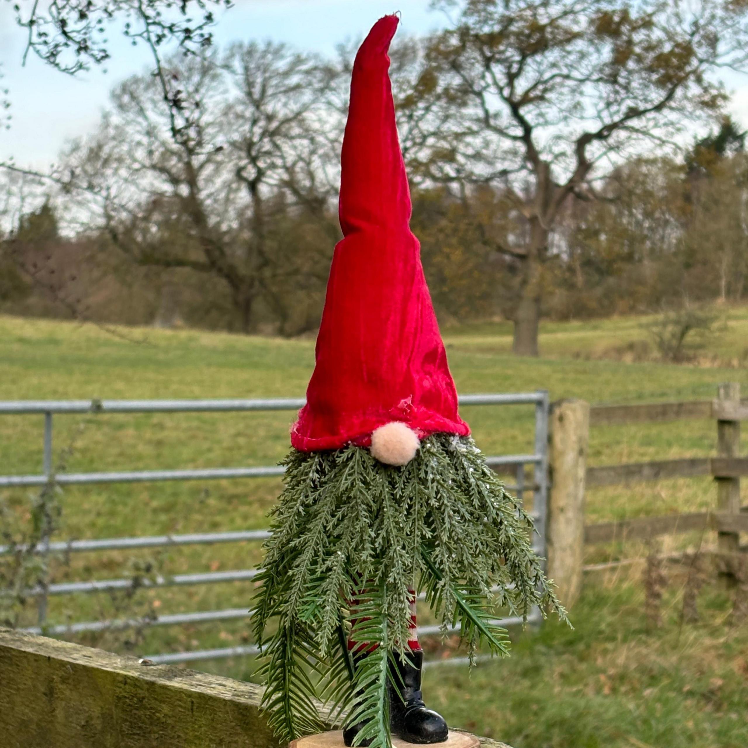 A red hat and a nose is stuck on top of a little Christmas tree man in front of a fence and a field