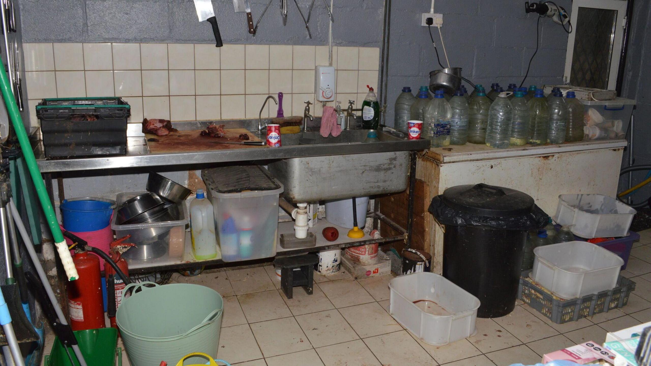 A kitchen at an animal sanctuary, showing food left, a dirty floor, bottles, a large industrial sink, bins, boxes and a tile floor, which is also dirty. 