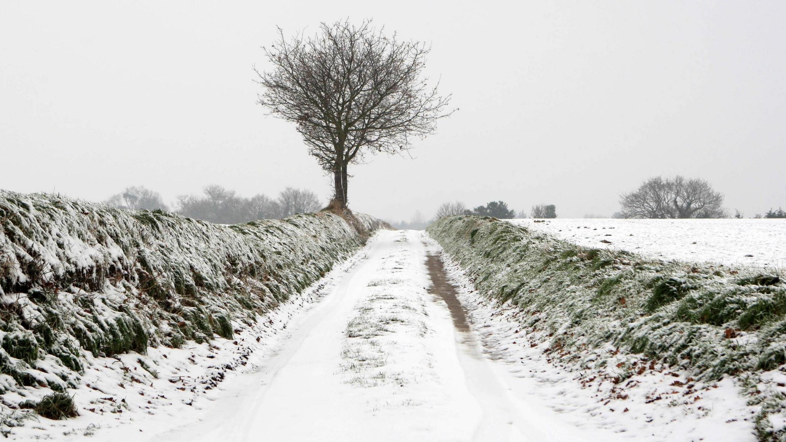 A country lane pictured after heavy snowfall several years ago. The single track lane is covered in a blanket of snow as well as the grass bank that lines either side. A lone tree stands in the distance.