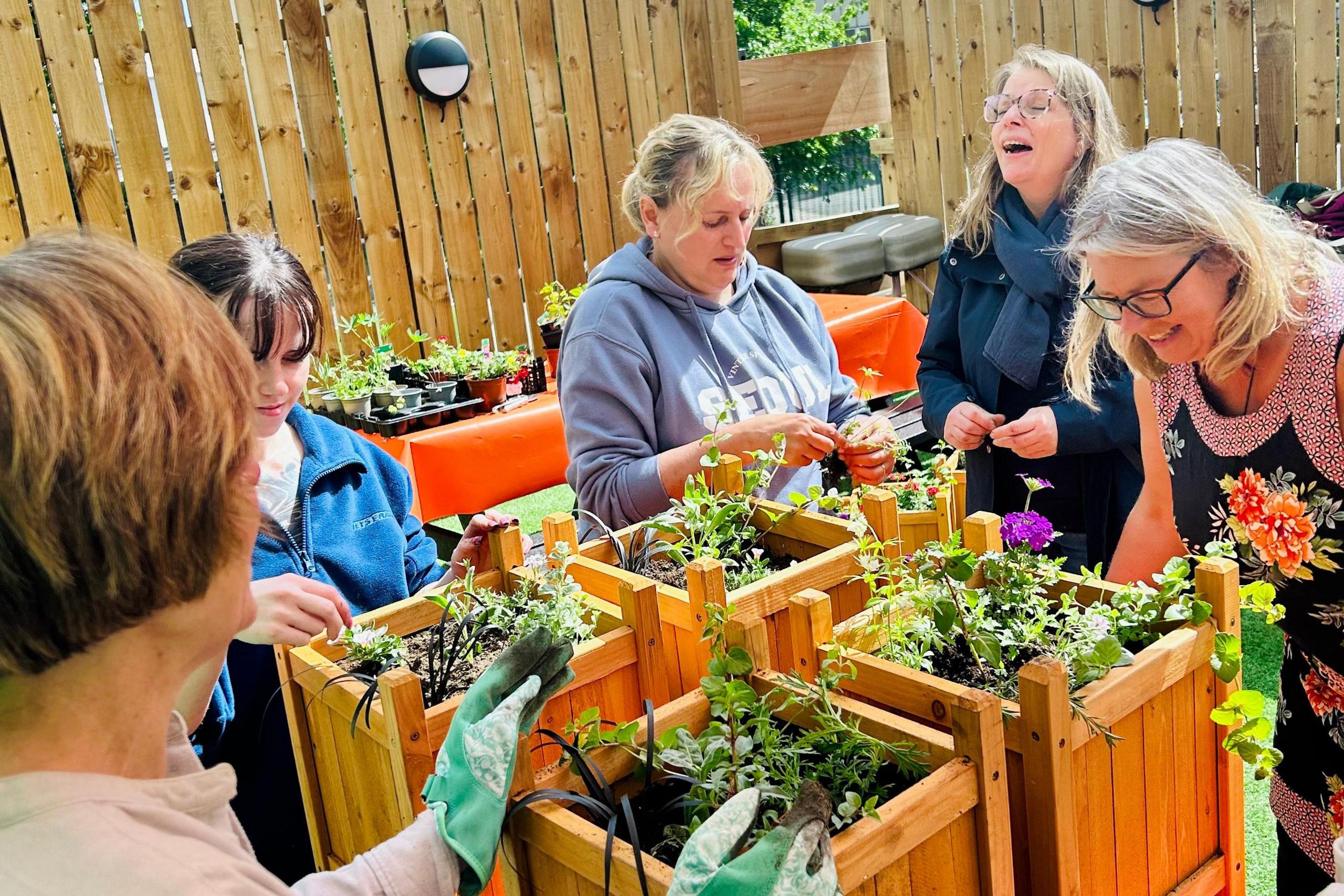 Five women tend to flowers in wooden planters.
