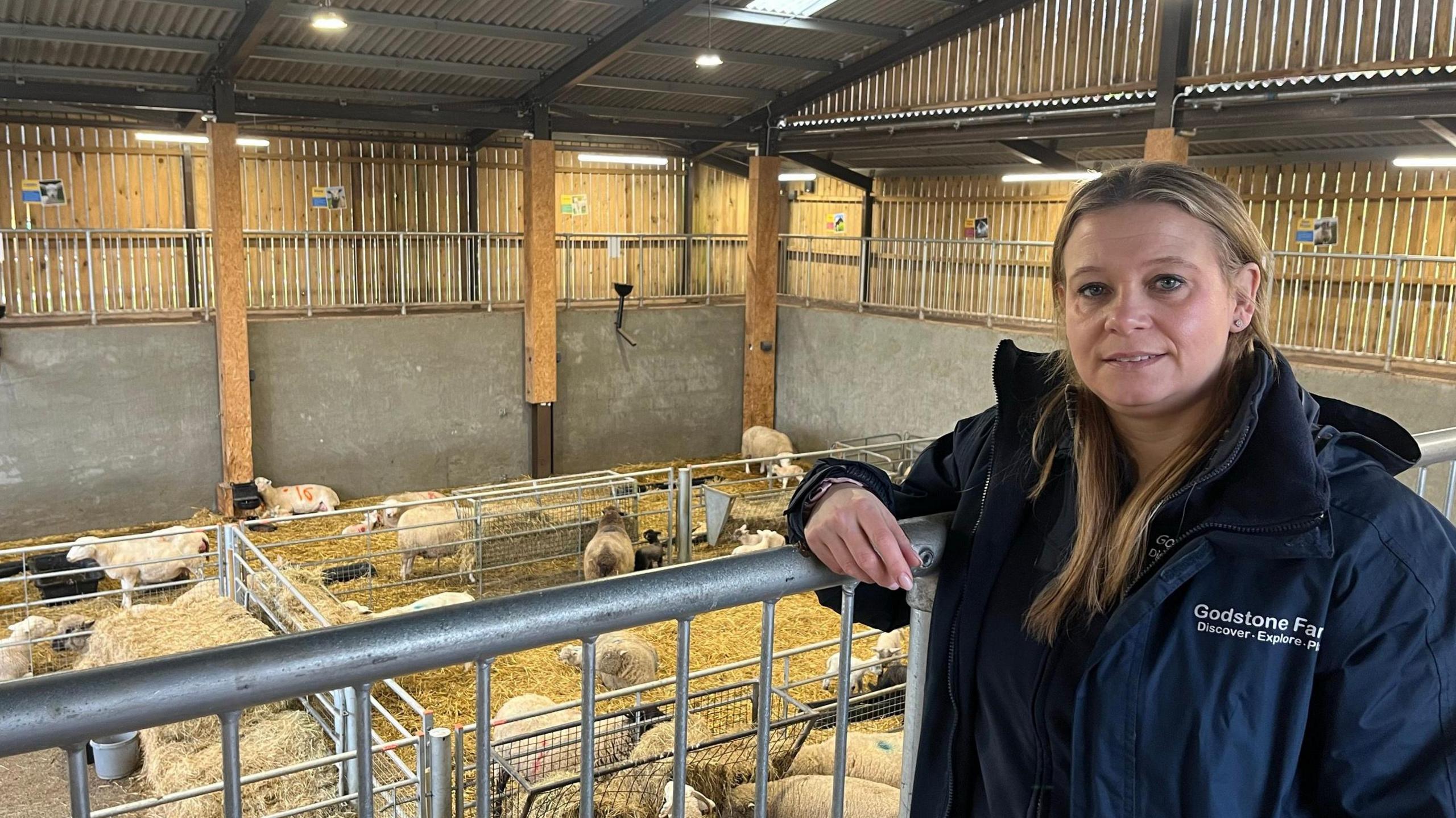 A woman with light brown hair leans on a fence on a mezzanine. Below her are sheep on the ground floor.