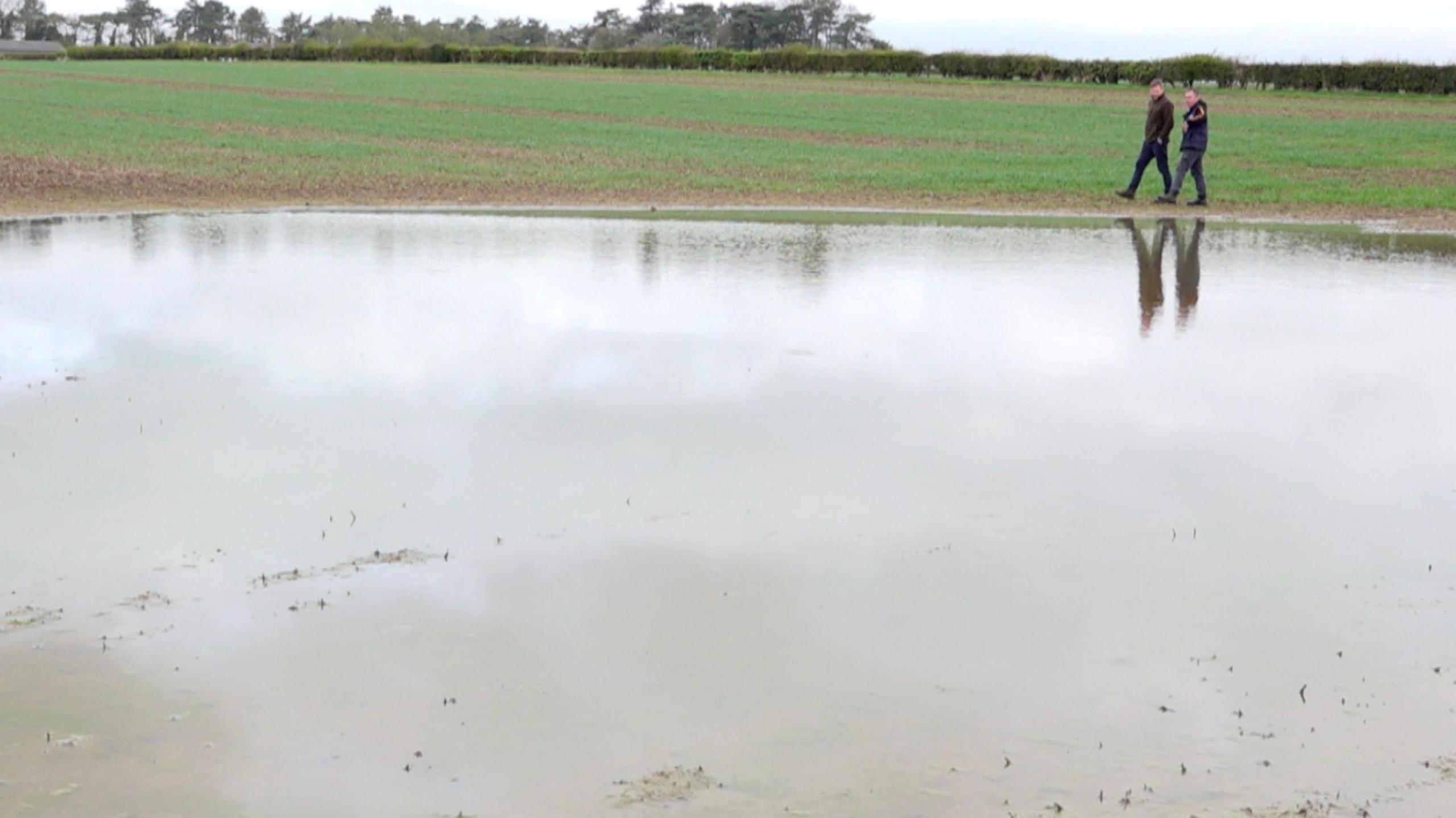 A waterlogged field on Richard Beachall's farm