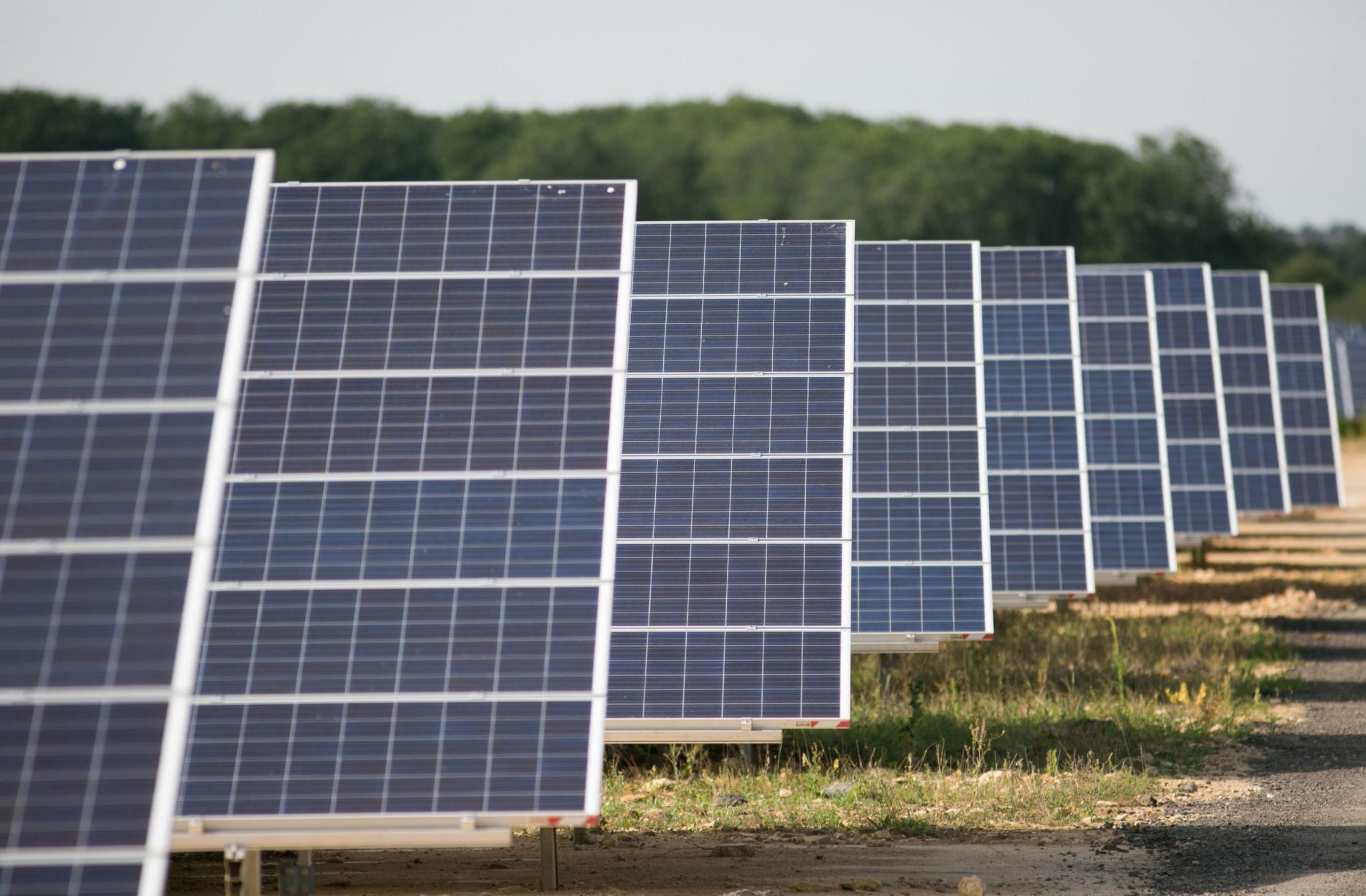 A line of blue solar panels on a grassy field