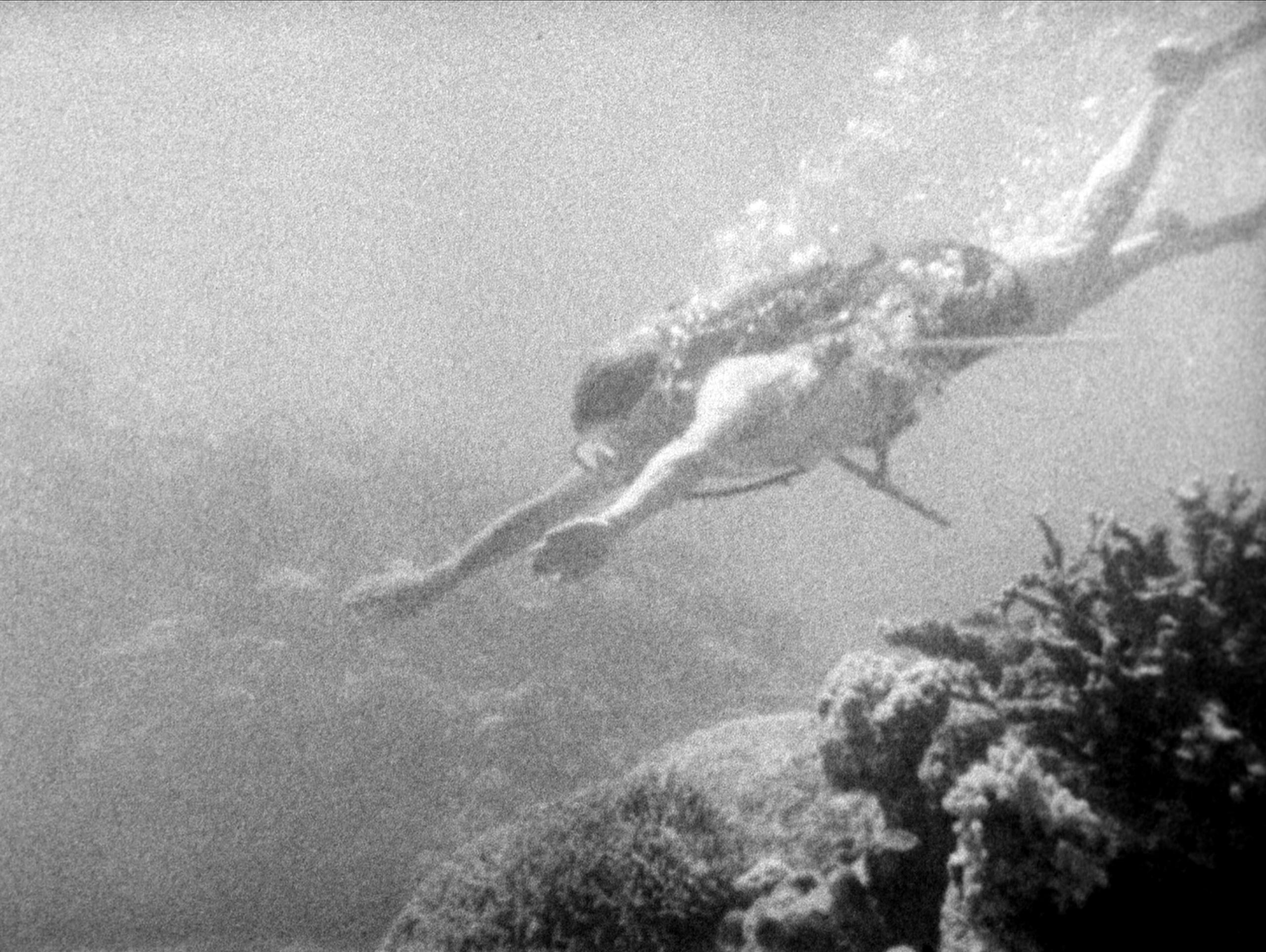 David in 1957 in the early days of his career in TV - David swims in the sea near coral reefs with a scuba diving gear on. This was a scene in one of his documentaries - Zoo Quest for the Paradise Birds - made in 1957. The image is in black and white.