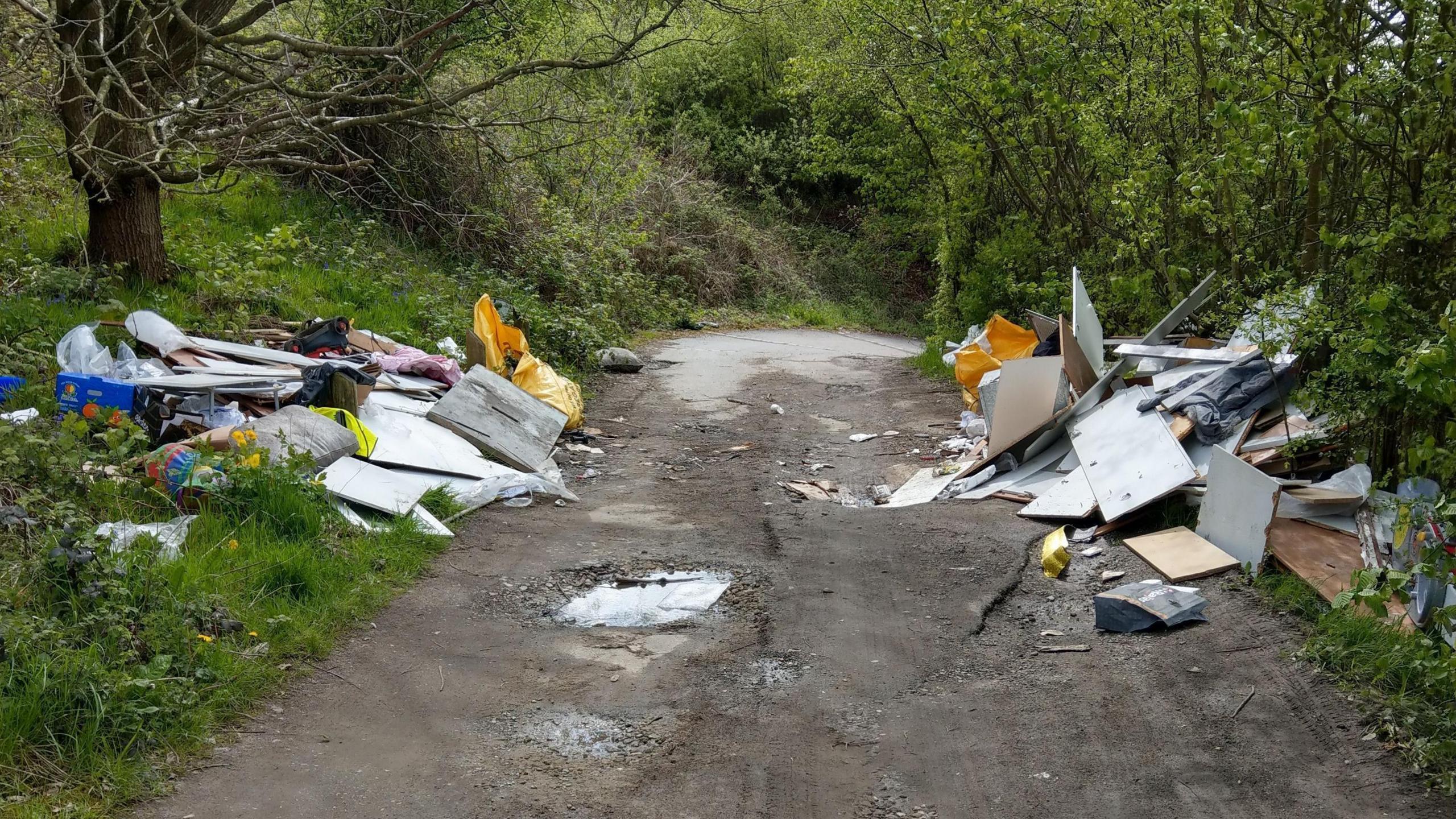 A woodland path with dumped panels and rubbish on the sides