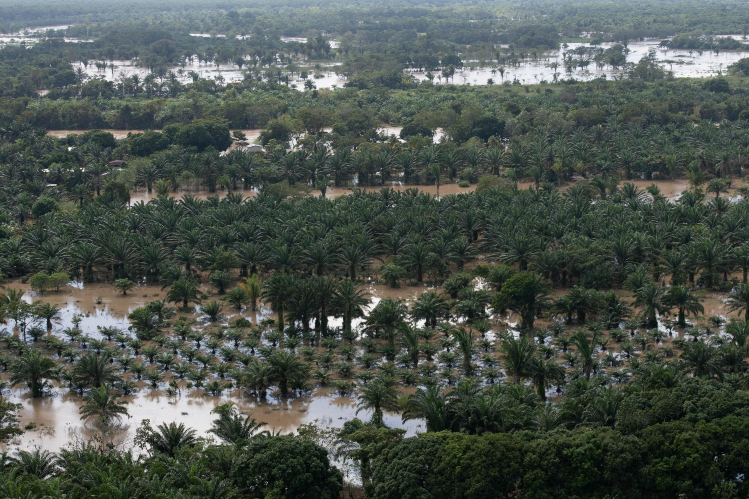 A view of the flooding caused by hurricanes Eta and Iota in Omoa