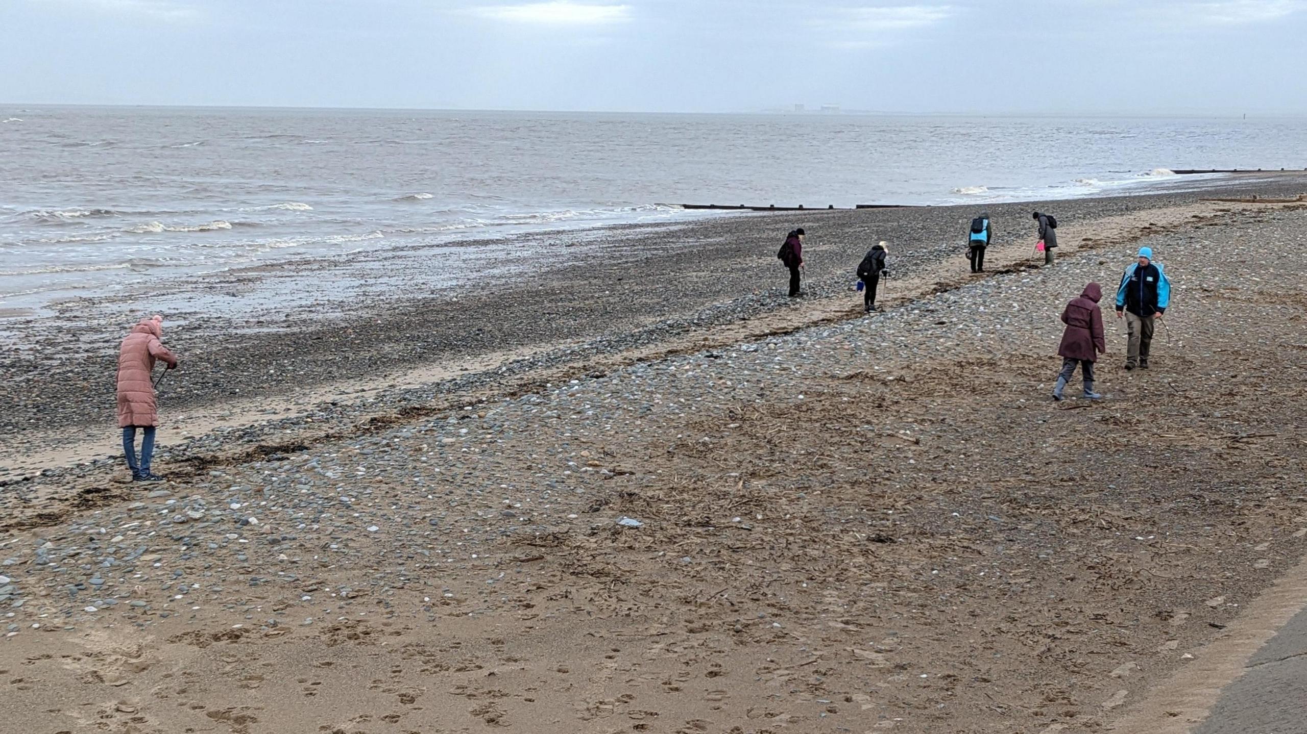 A beach scene, showing seven people wearing coats walking down the coastline looking for shark egg cases.