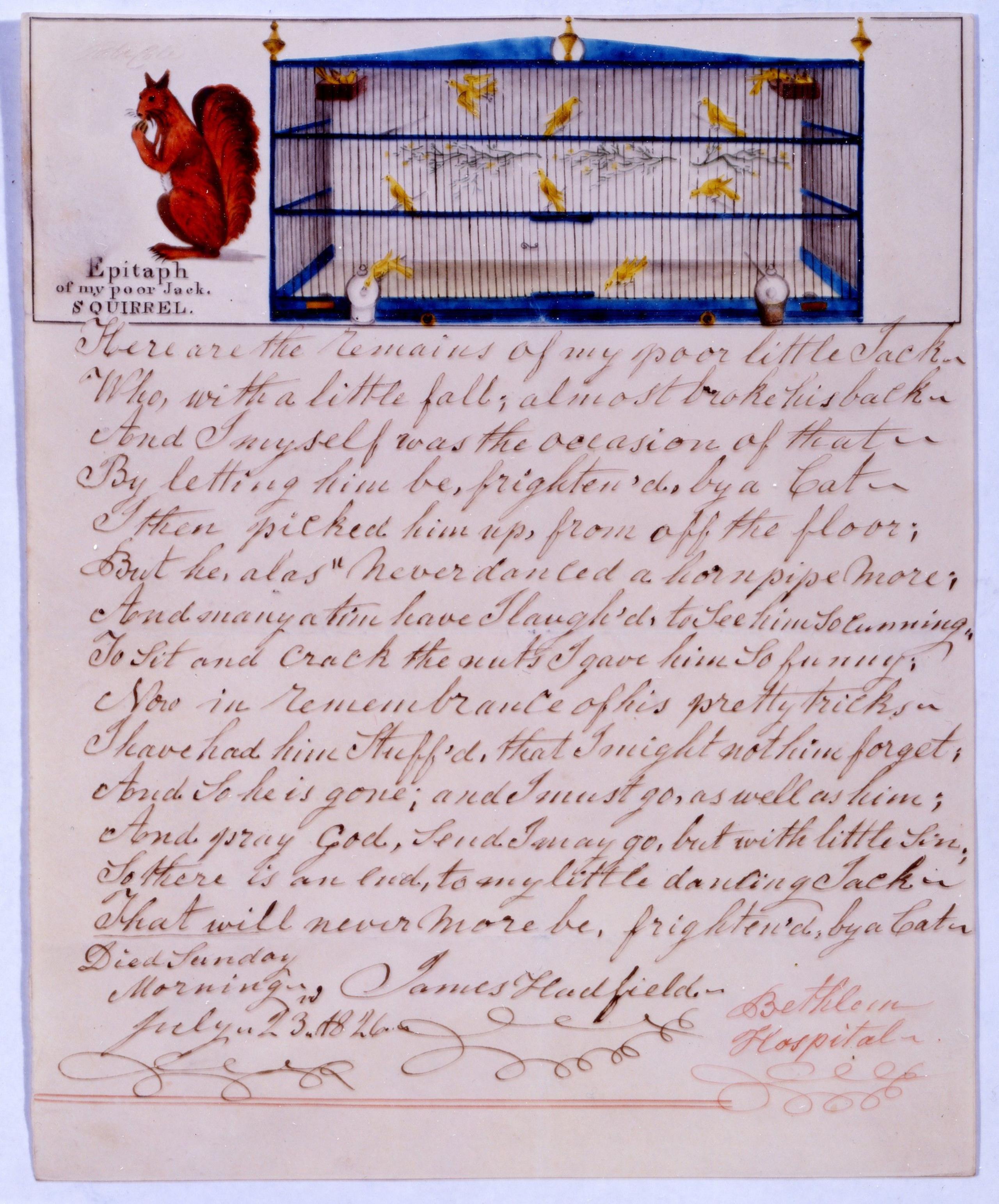 An image showing a small red squirrel on the top left corner of a piece of paper. It is next to a blue cage-like object. Below, are lines of writing with slanted, flowy lettering.