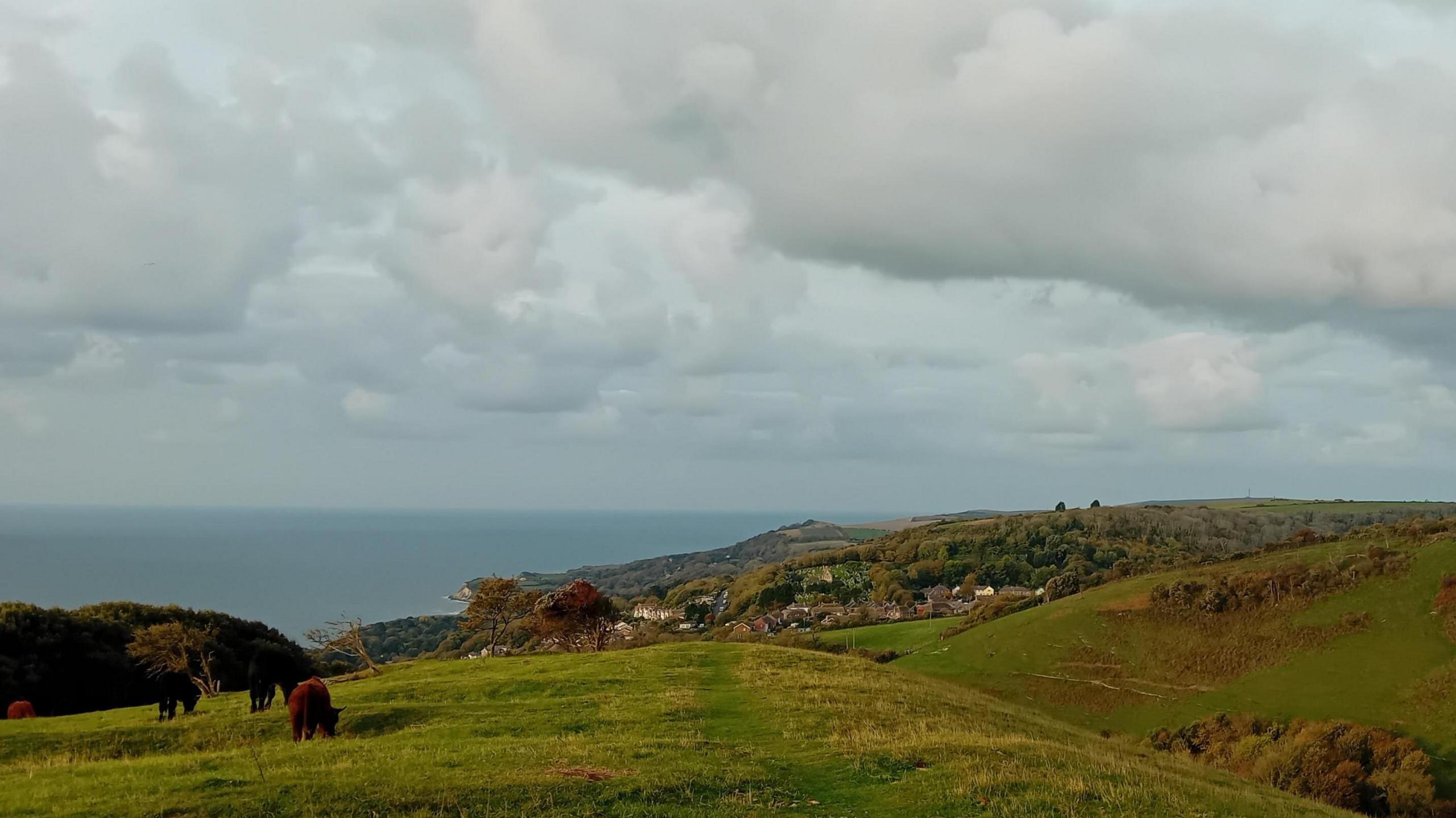 Rolling green downs with cattle seen grazing the a glimpse of the sea to the left with low cloud.