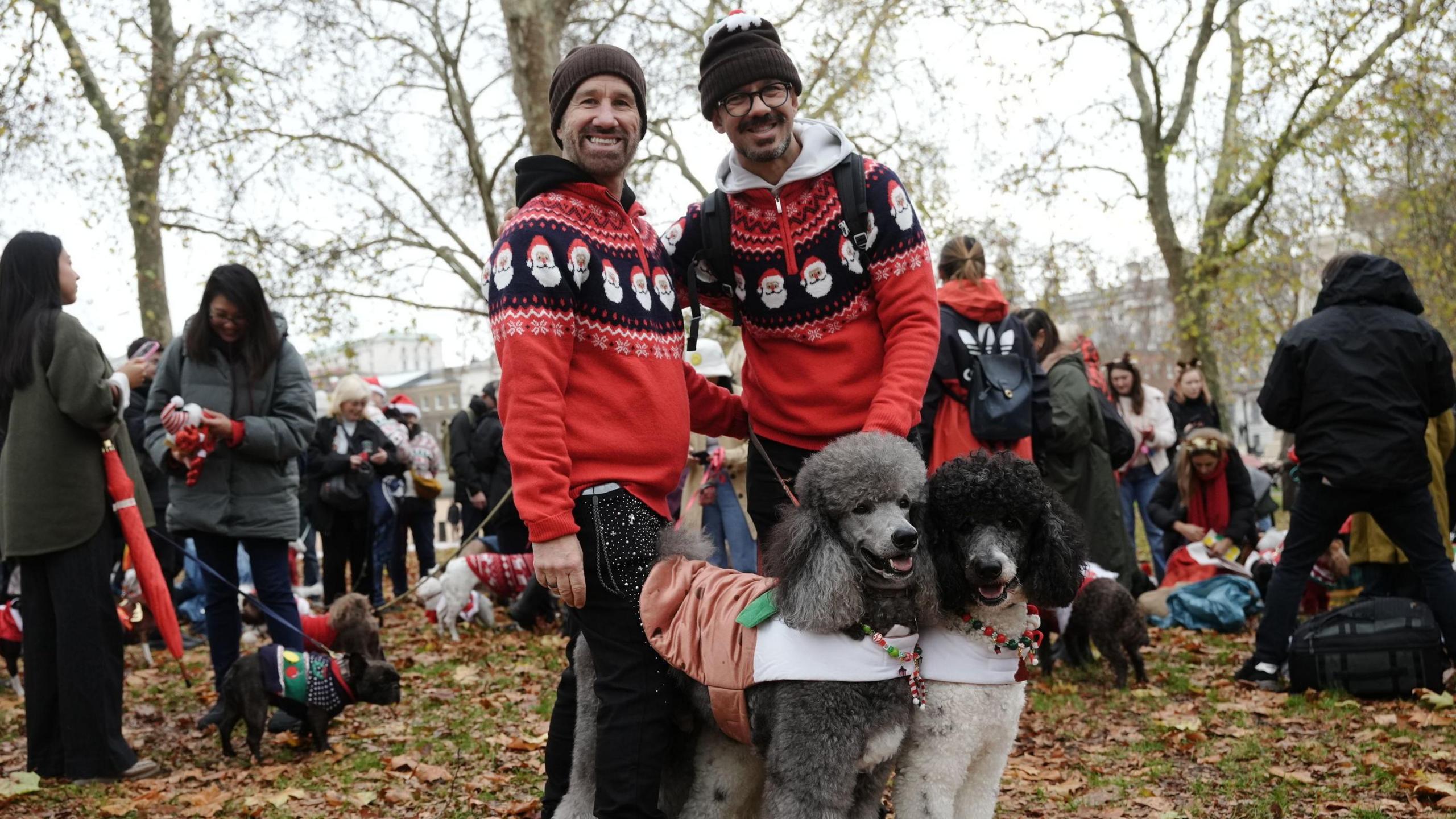 Two men in christmas jumpers stand next to two poodles in costumes.