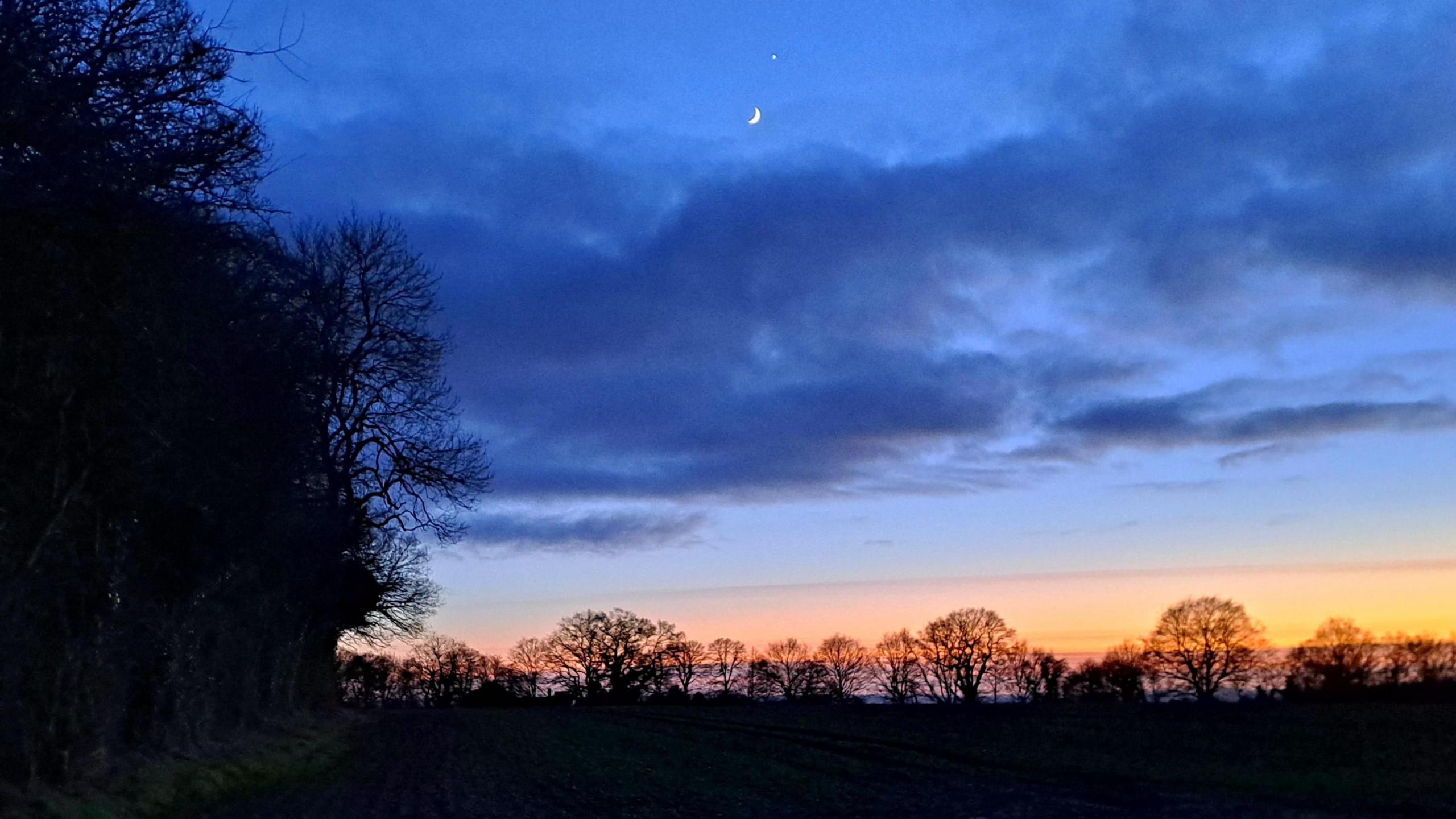 A crescent Moon and Venus against a darkening sky at sunset, seen over a field lined with trees in silhouette.