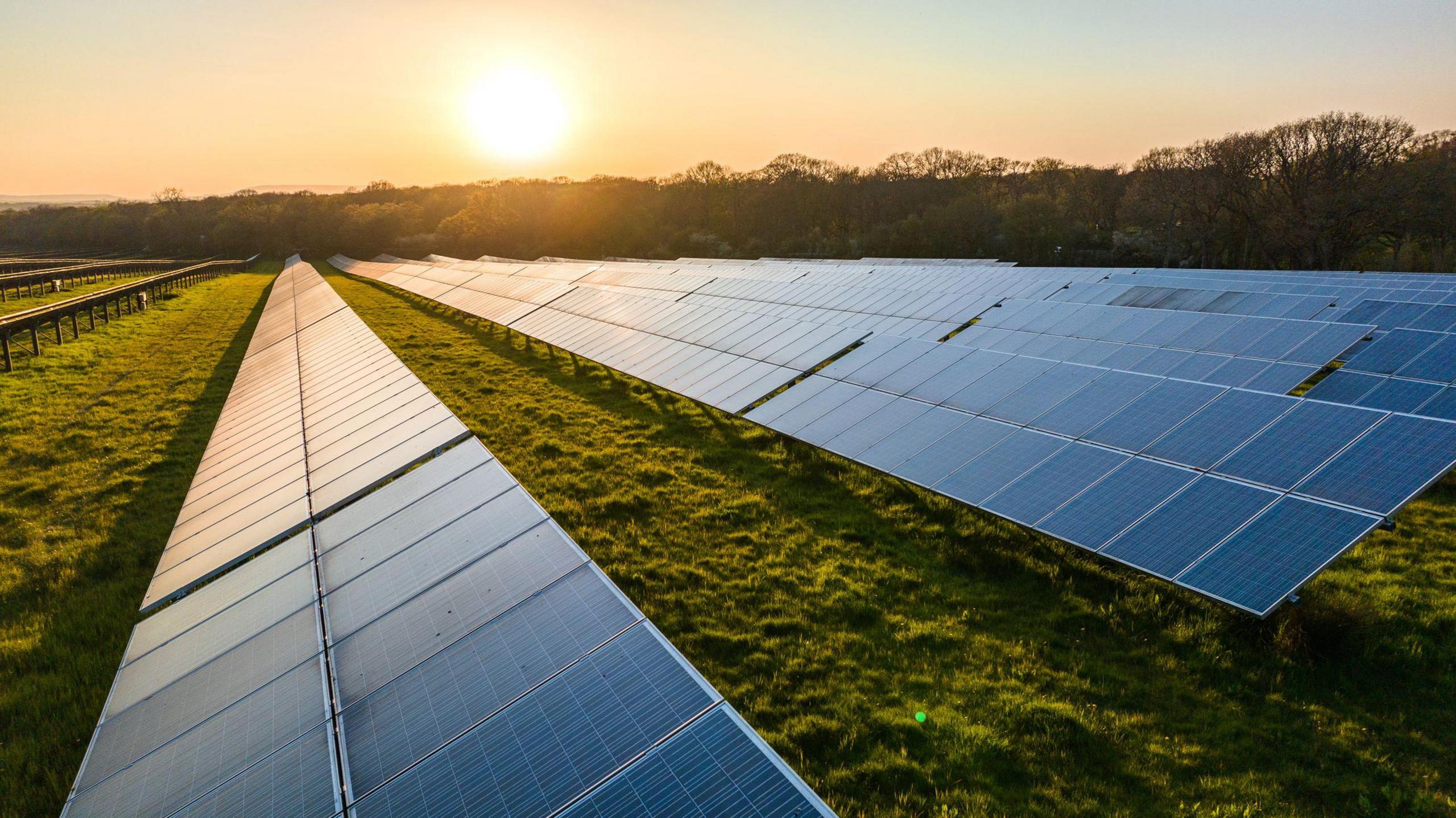 Rows of solar panels in a field with the evening sun in the background