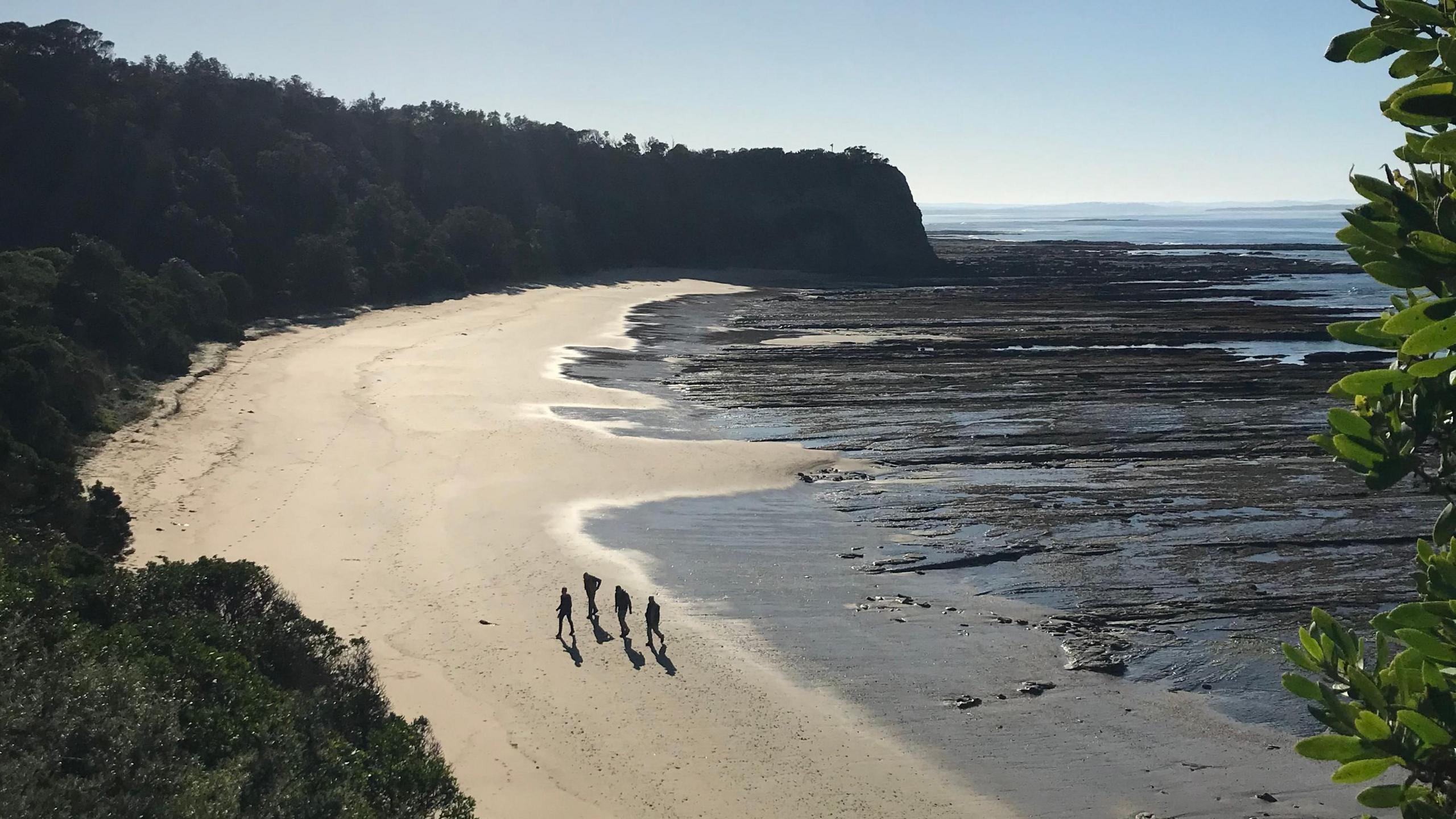 Four people walking on a beach