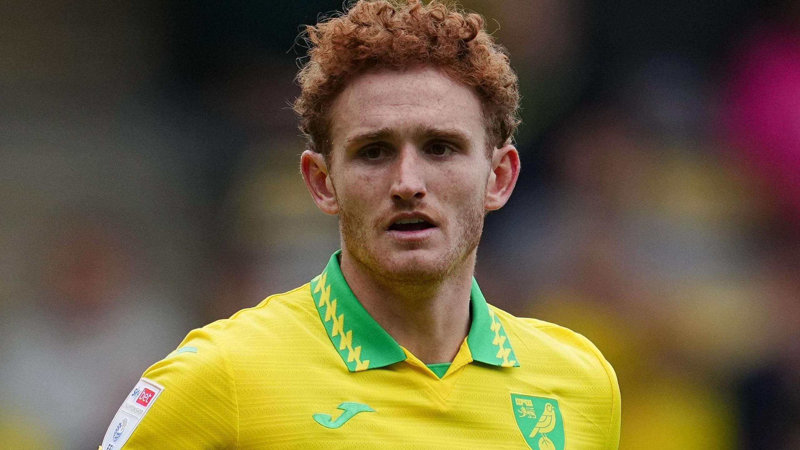 Josh Sargent playing for Norwich City