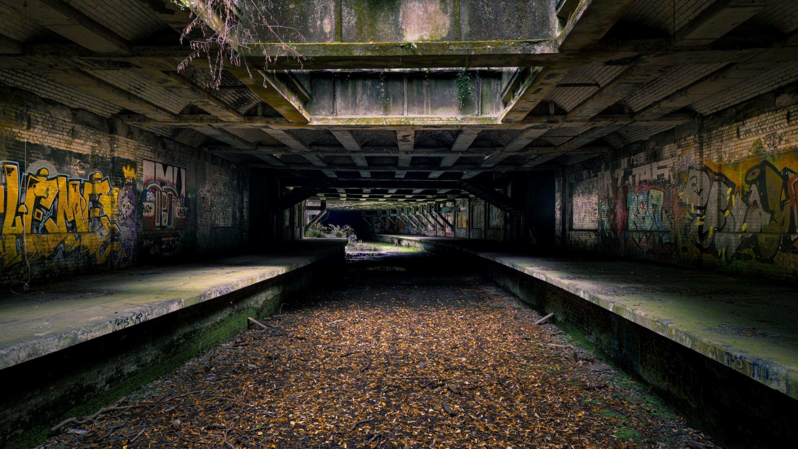 An image of an abandoned railway station at Glasgow's Botanic Gardens showing the overgrown track with shards of sunlight coming through gaps above - the platforms on each side have graffiti on the walls and the whole scene has been reclaimed by nature