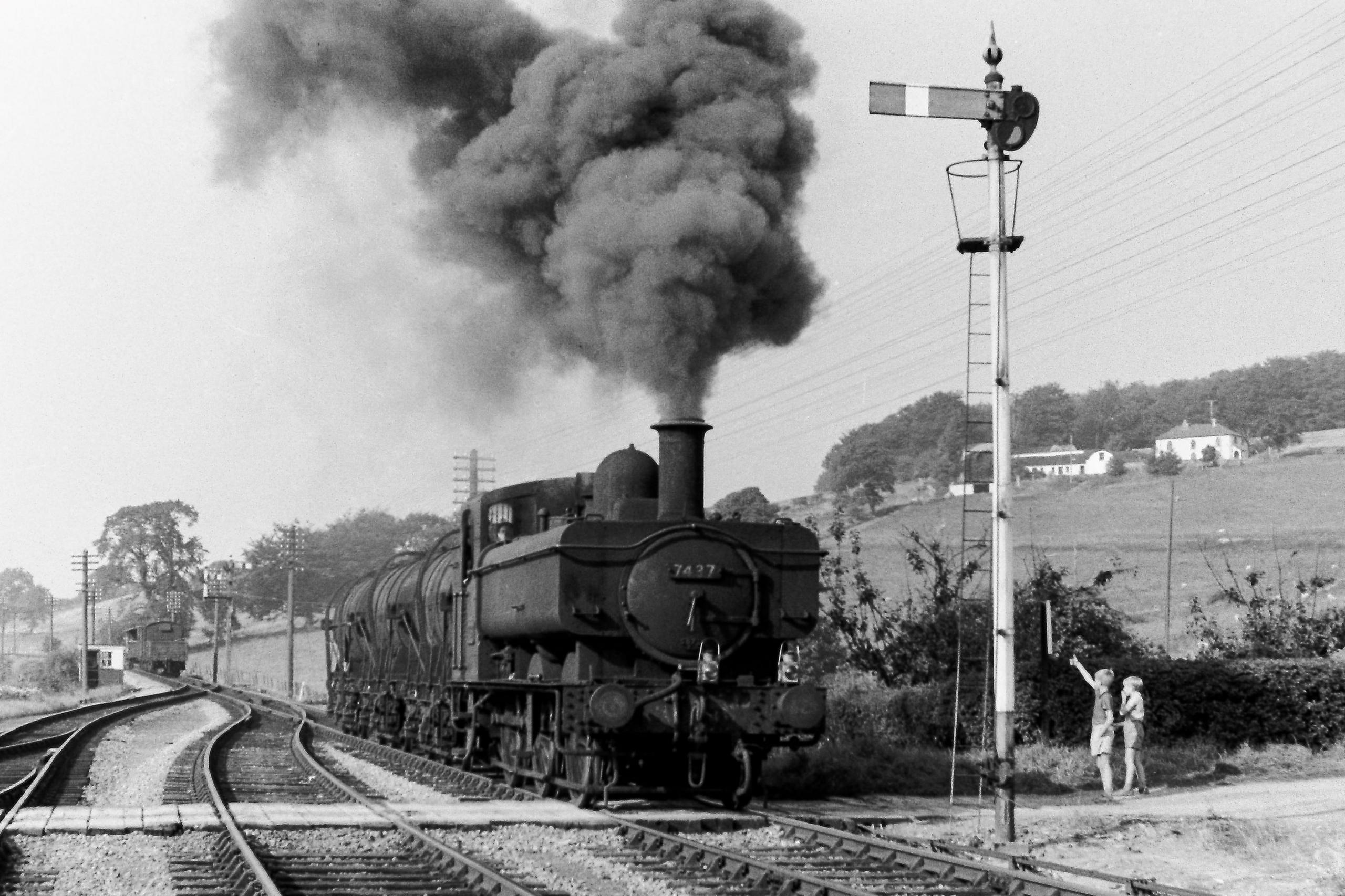 Pannier tank shunts a milk and goods train