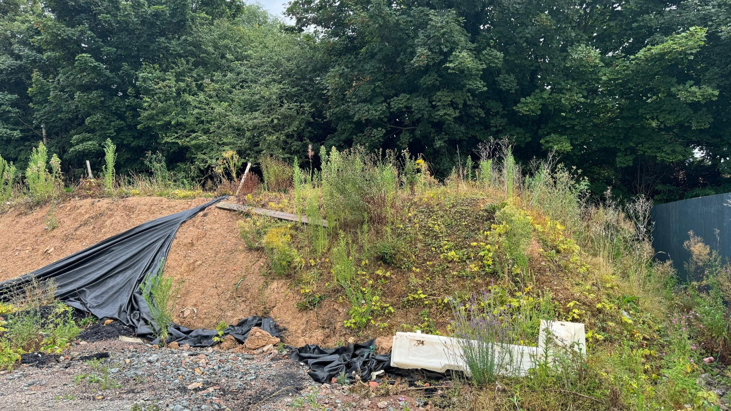 Mounds of earth and rubbish are covering the former route of the canal