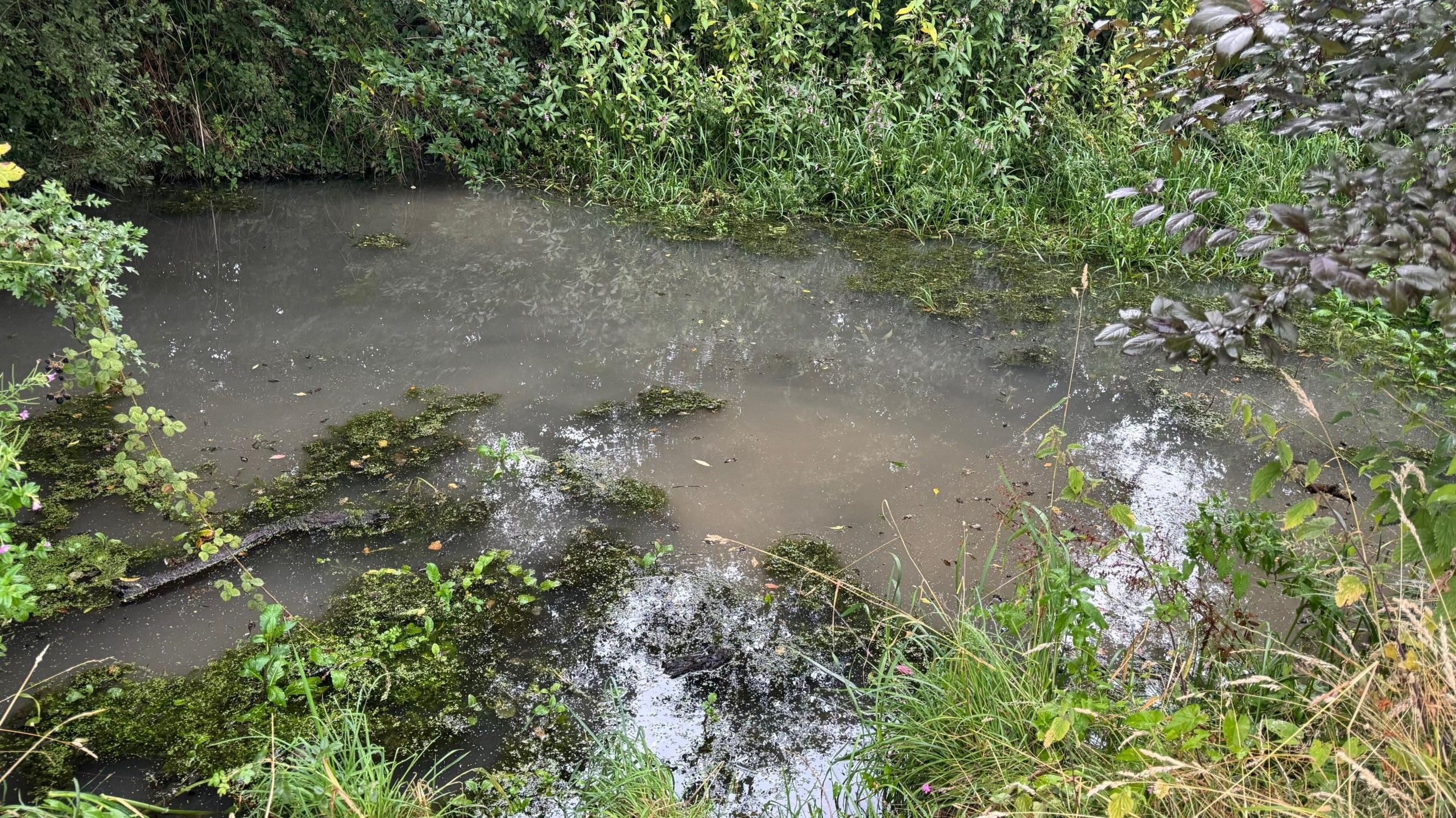 Grey water in a stretch of canal 