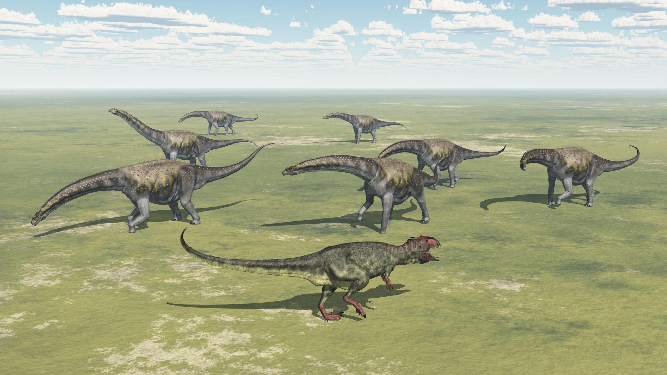 Computer generated 3D illustration with the dinosaurs Giganotosaurus and Argentinosaurus.