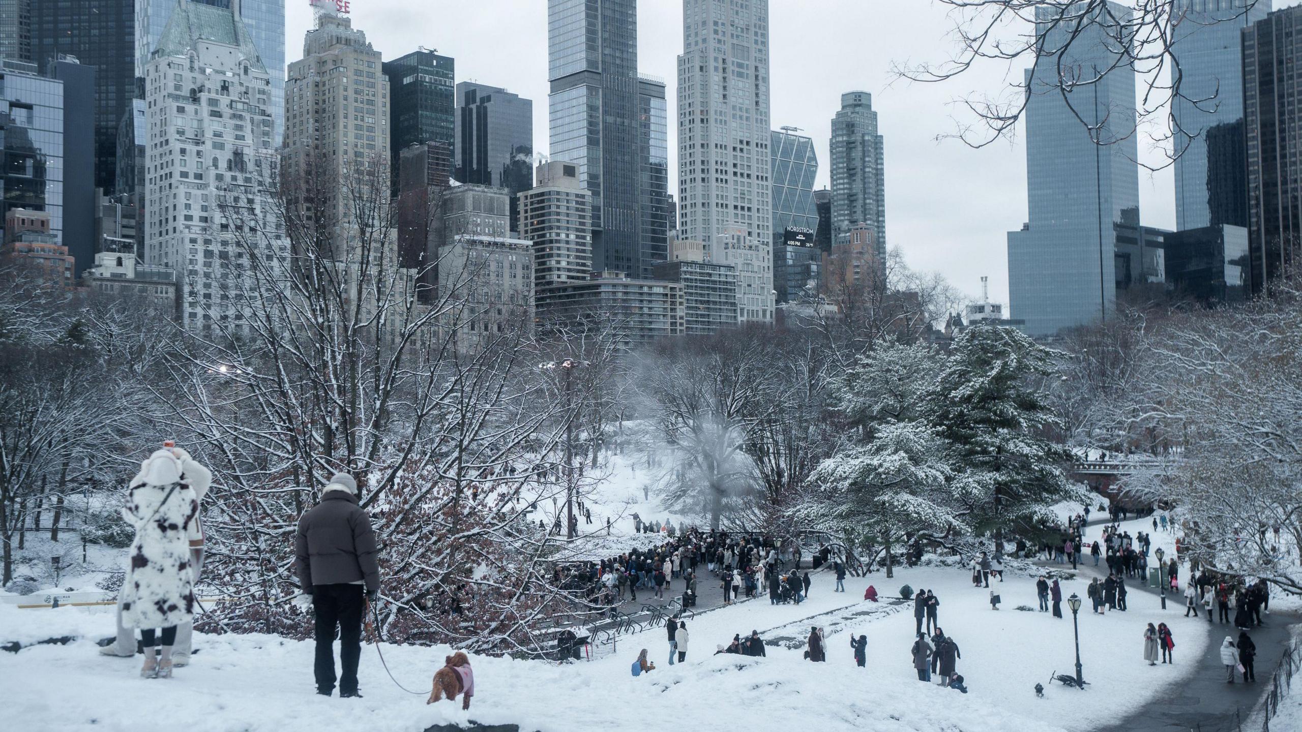 People enjoy the winter weather in Central Park in New York