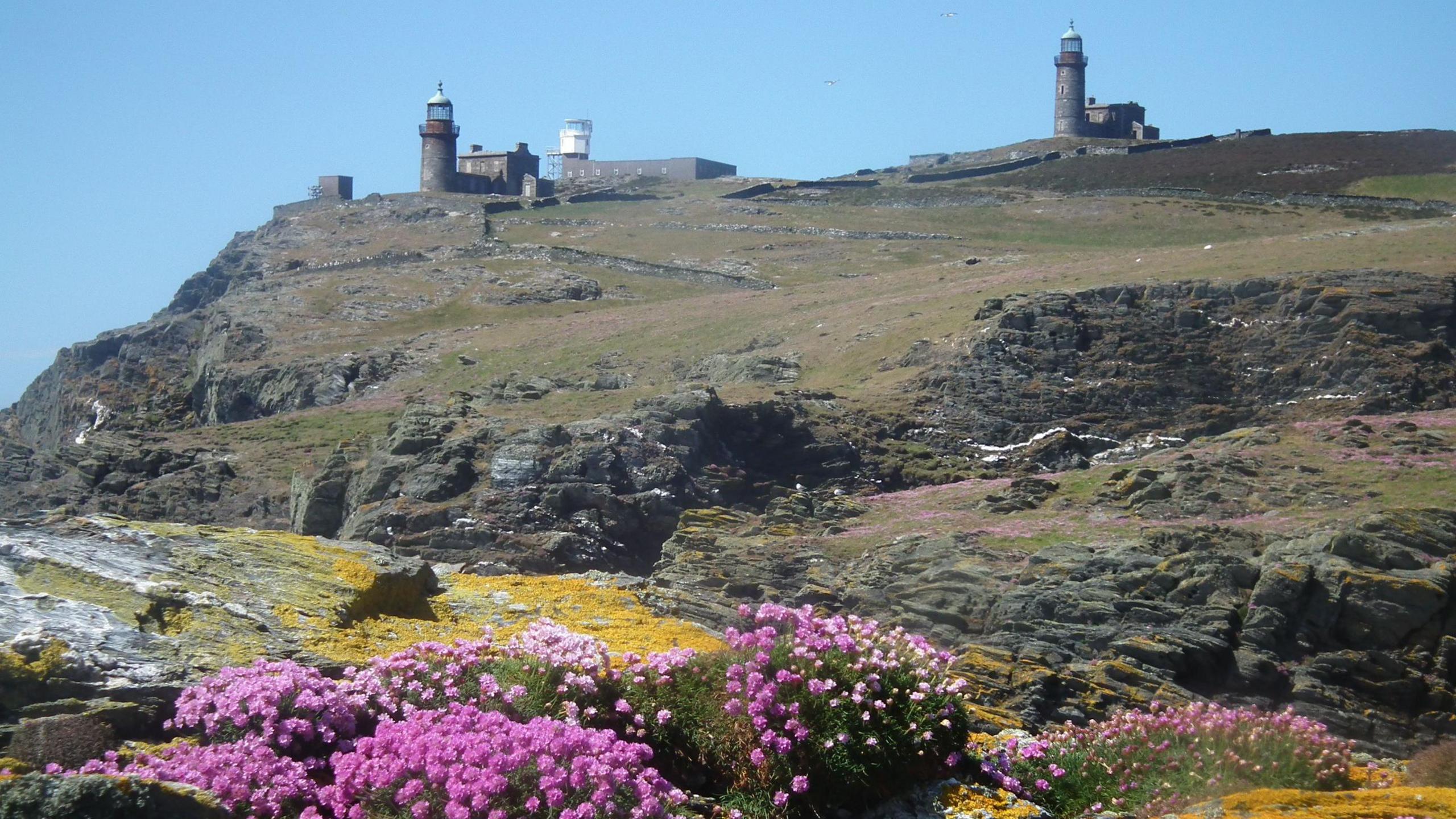 A number of buildings on a hill. There is grass and steep rock faces with pink flowers in the foreground.