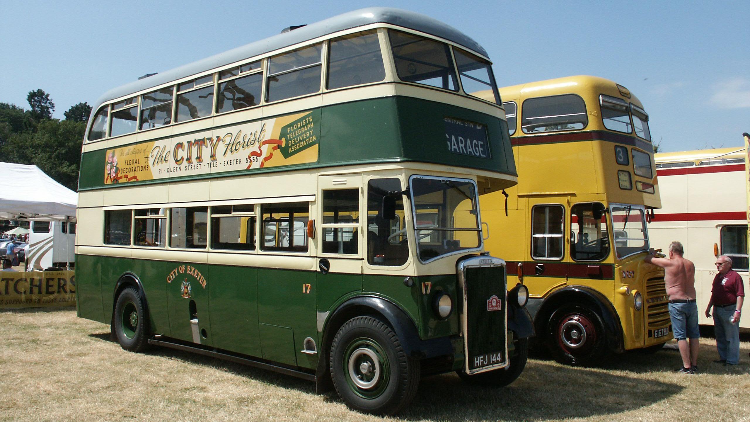 Classic buses in a field in Powderham Castle