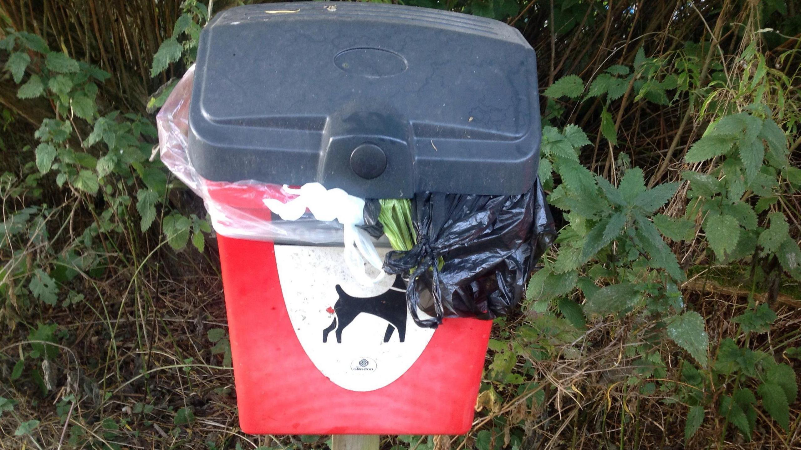 A dog waste bin