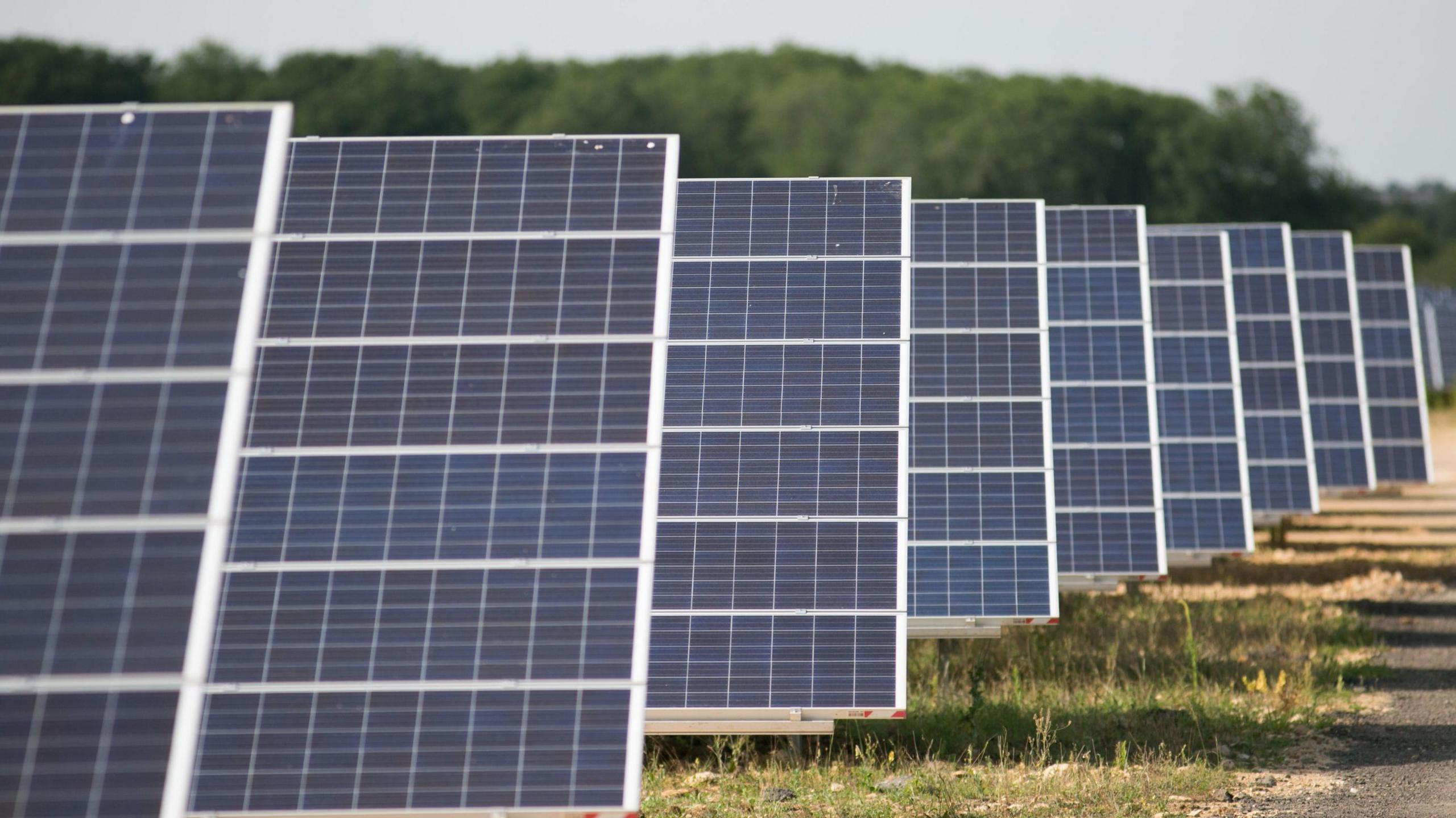 A view of a solar farm within a field. Rows of solar panels, one in front of the other, are pictured at a slight angle facing the sky. Trees can be seen in the distance.