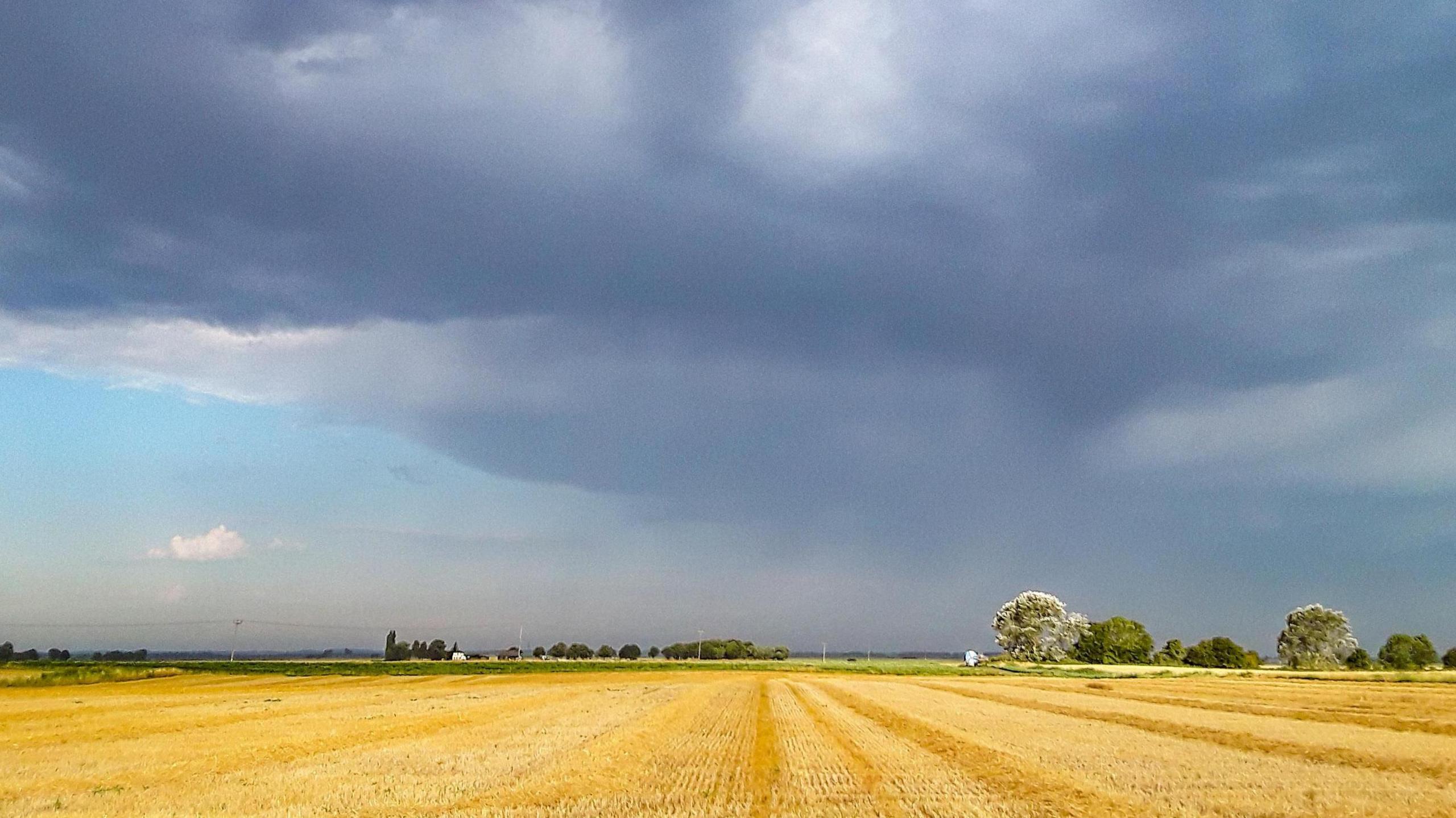 A golden wheat field with a blue sky on the left and blue/grey clouds rising above