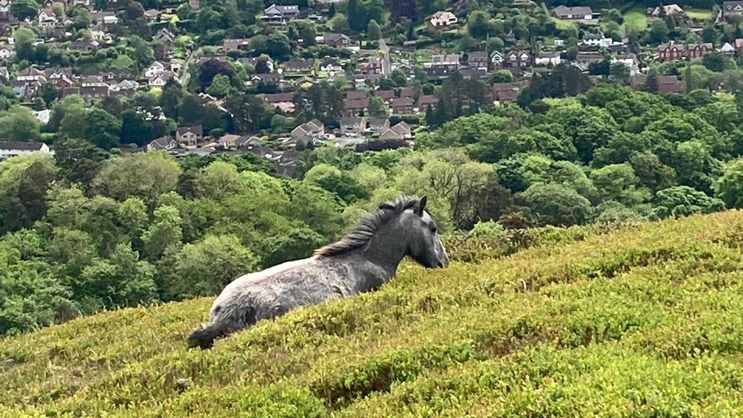 Church Stretton Shropshire