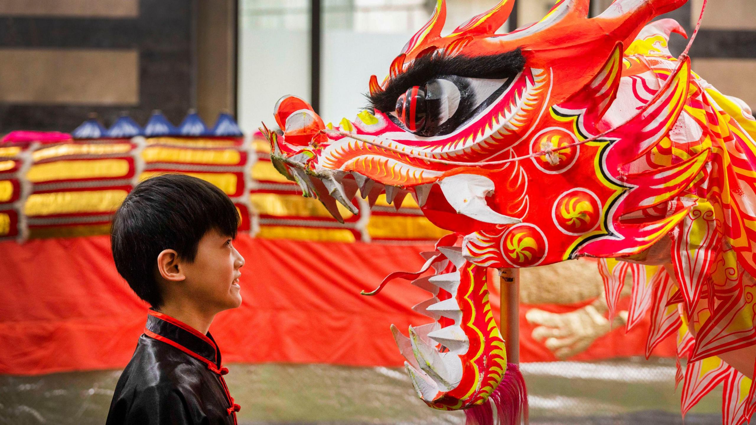 Vincent Hong, 11 from Manchester gets a close top look of a dragon ahead of taking part in the Dragon Parade as part of Manchester's Chinese New Year Celebrations in 2024.