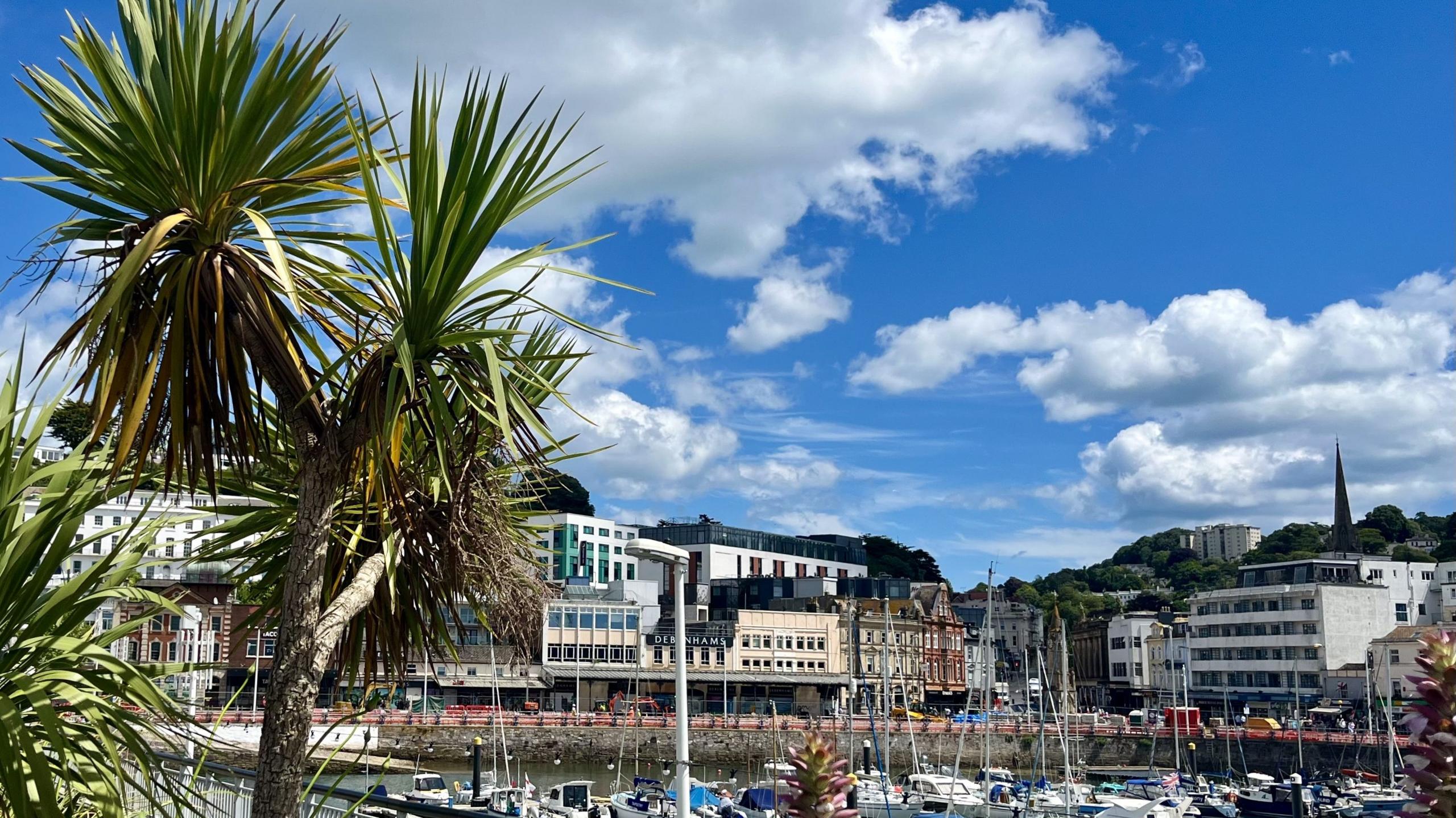 Harbour with boats, a palm tree in the foreground.  There are buildings including a church and blue sky with clouds.