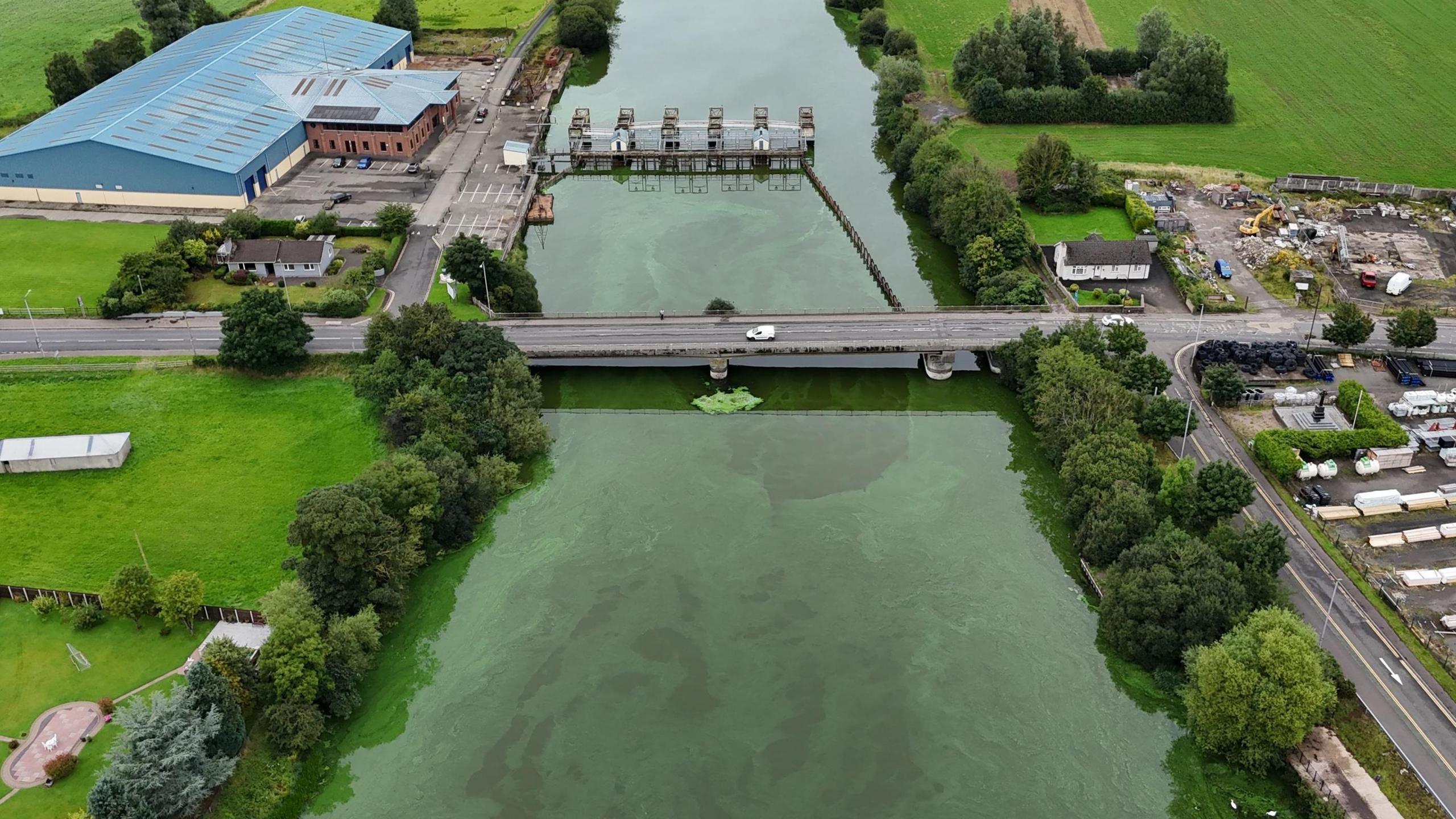 A drone shot of a river covered in green sludge. In the centre of a photo is a bridge crossing the river. On each side of the river are green fields and deciduous trees. A road runs along the right-hand bank.