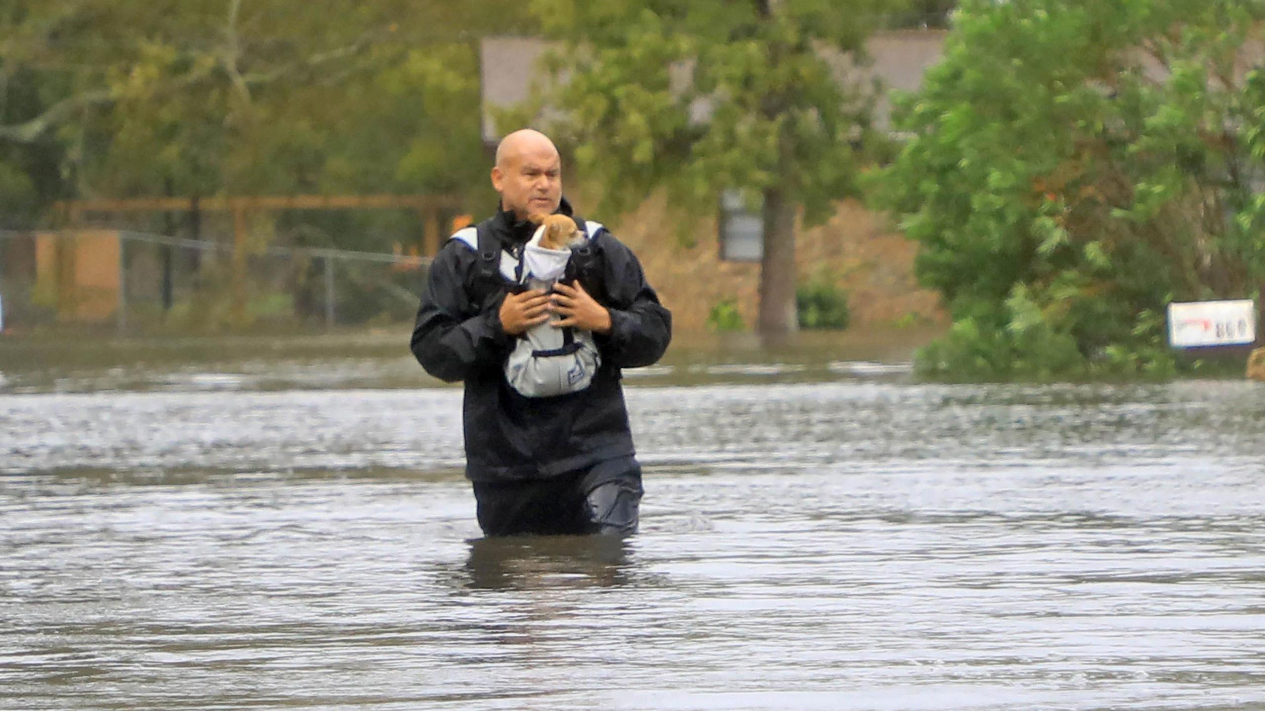 man saving a puppy from flood.