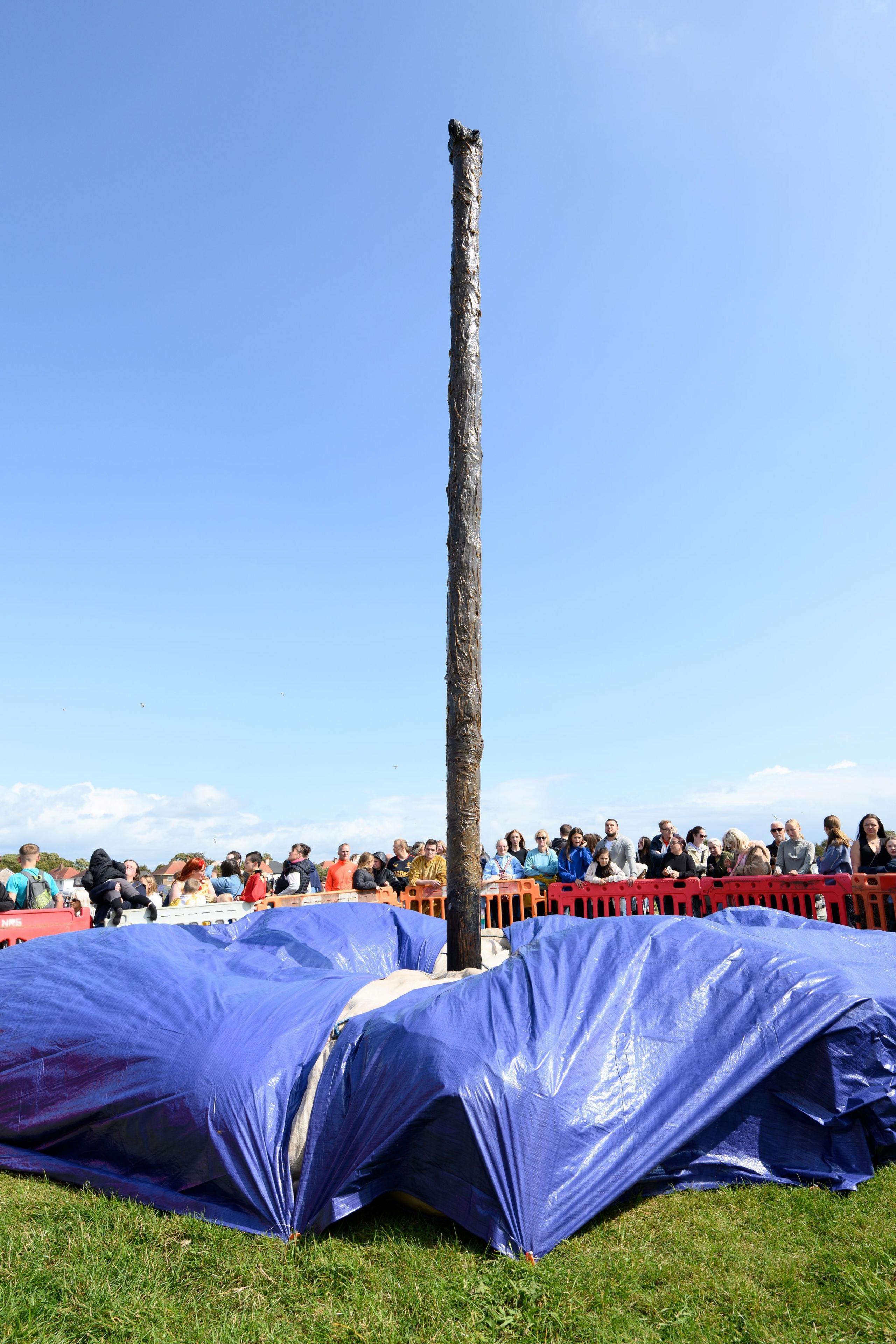 A large pole covered in grease, on a tarpaulin on a hill outside. A crowd of people have gathered around barriers to watch.