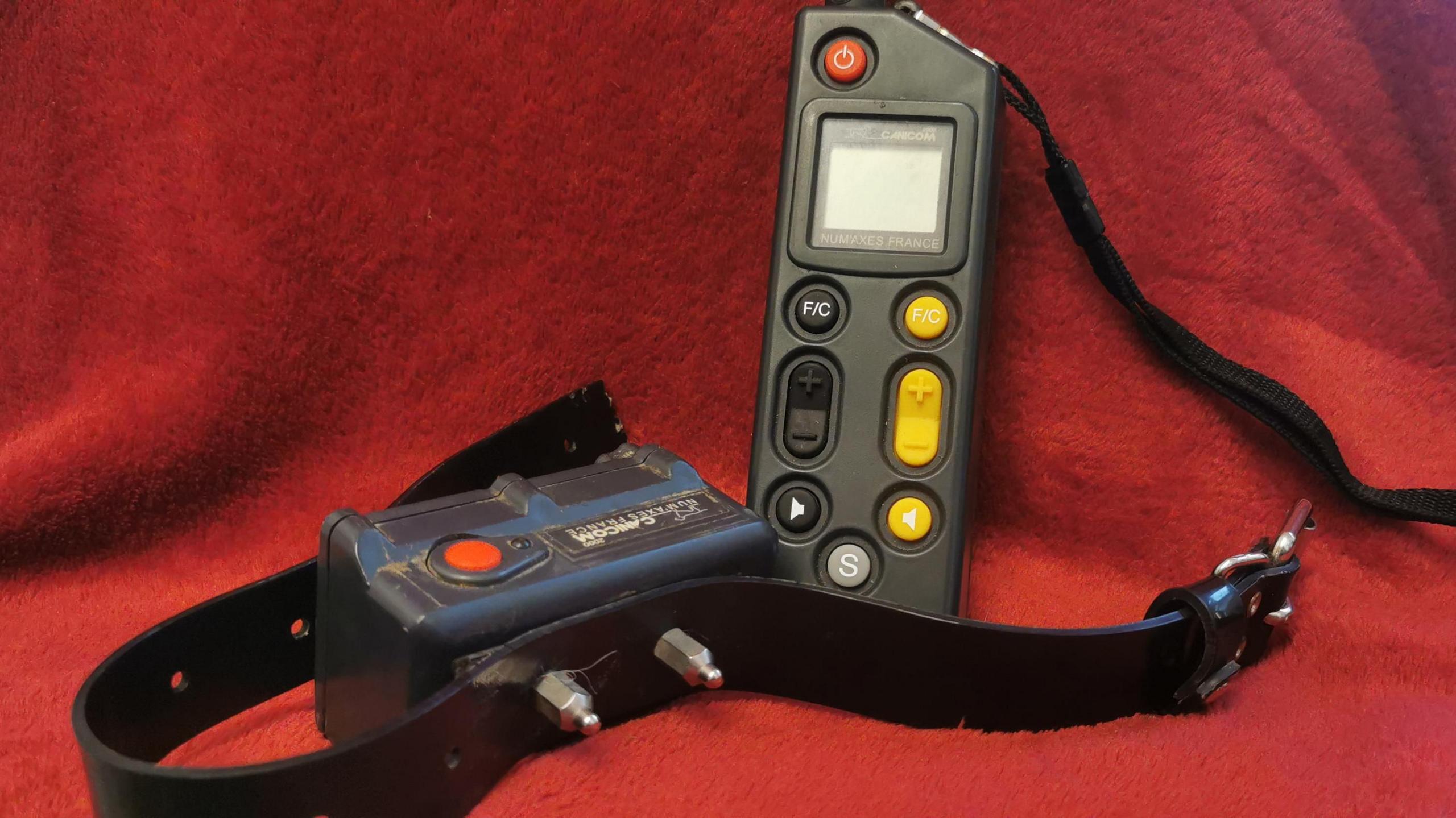 An electric shock collar and its remote control  on a red background. The collar is black and has two metal prongs sticking out of it and a buckle, and the controller has a series of yellow buttons and a display screen.