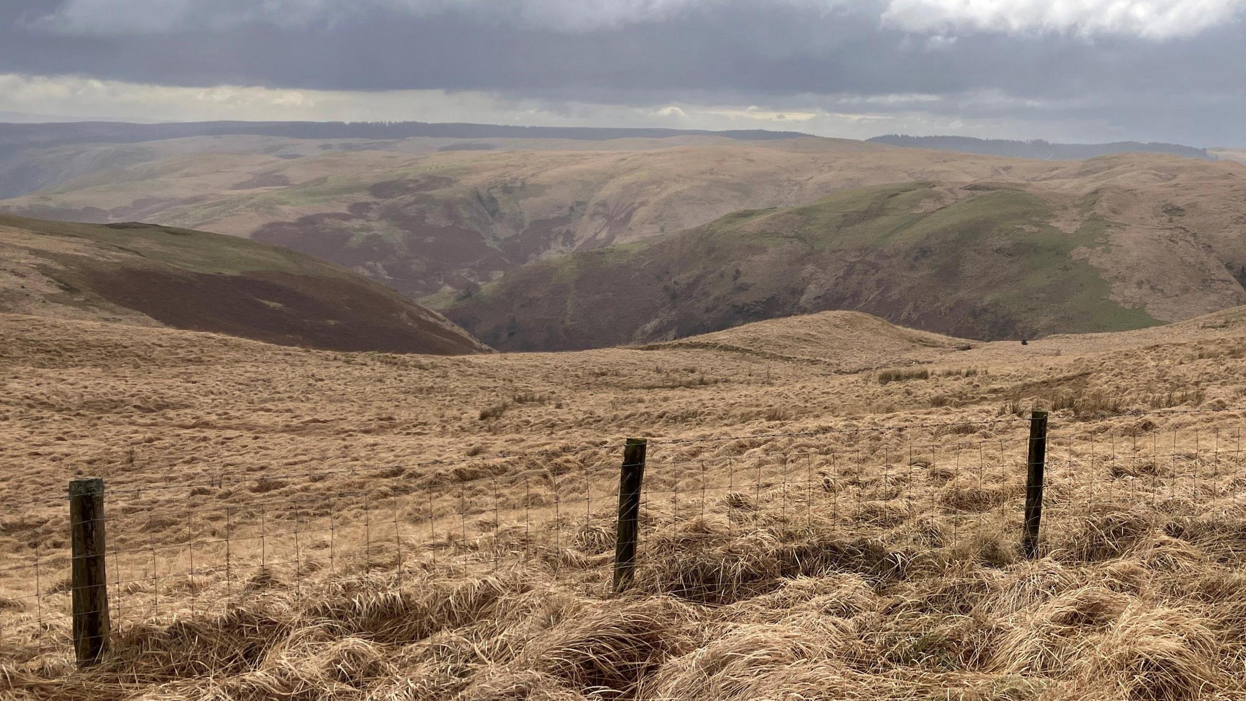 Rhan o safle Tir Natur