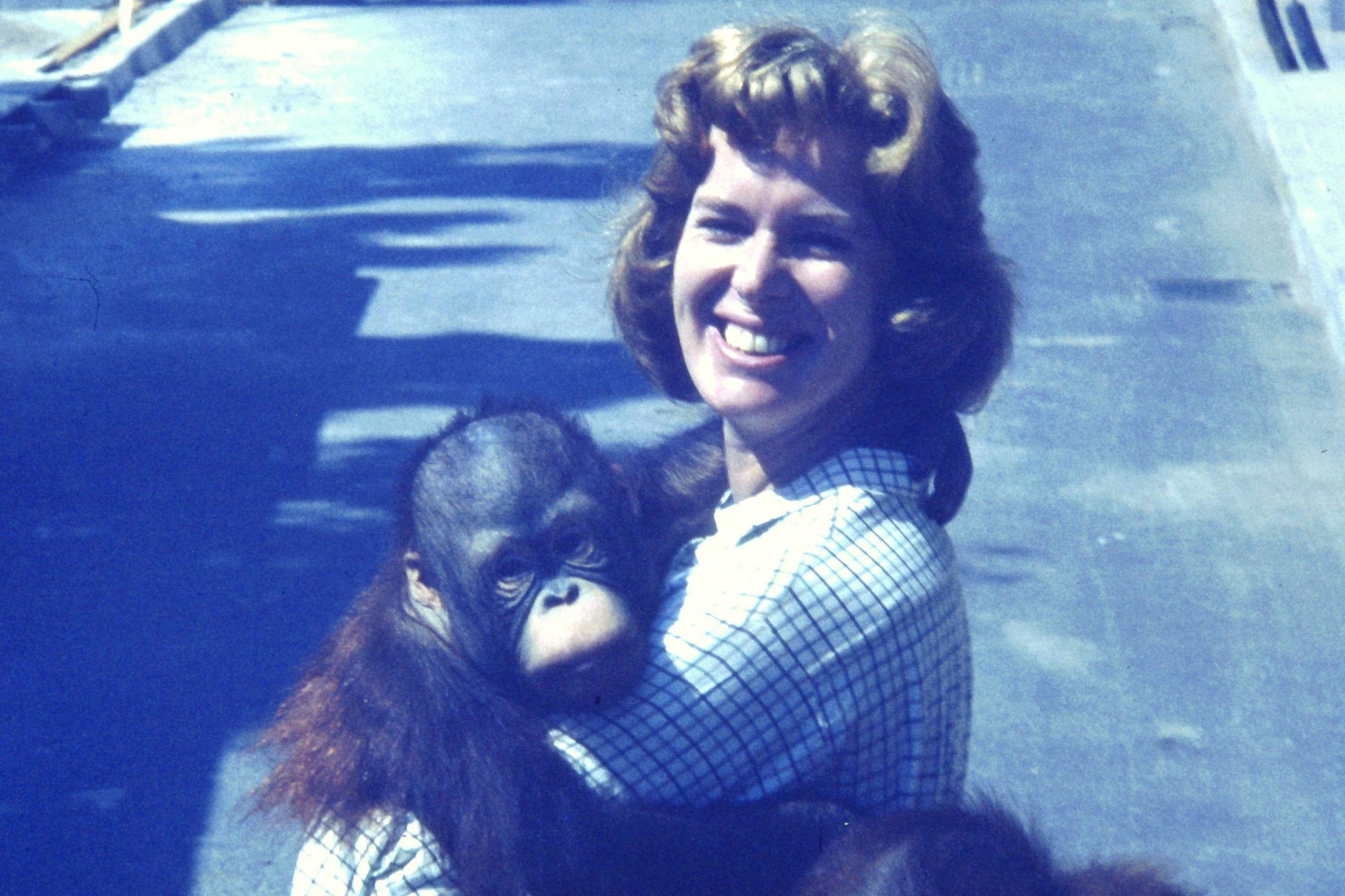 Jane and the orangutan