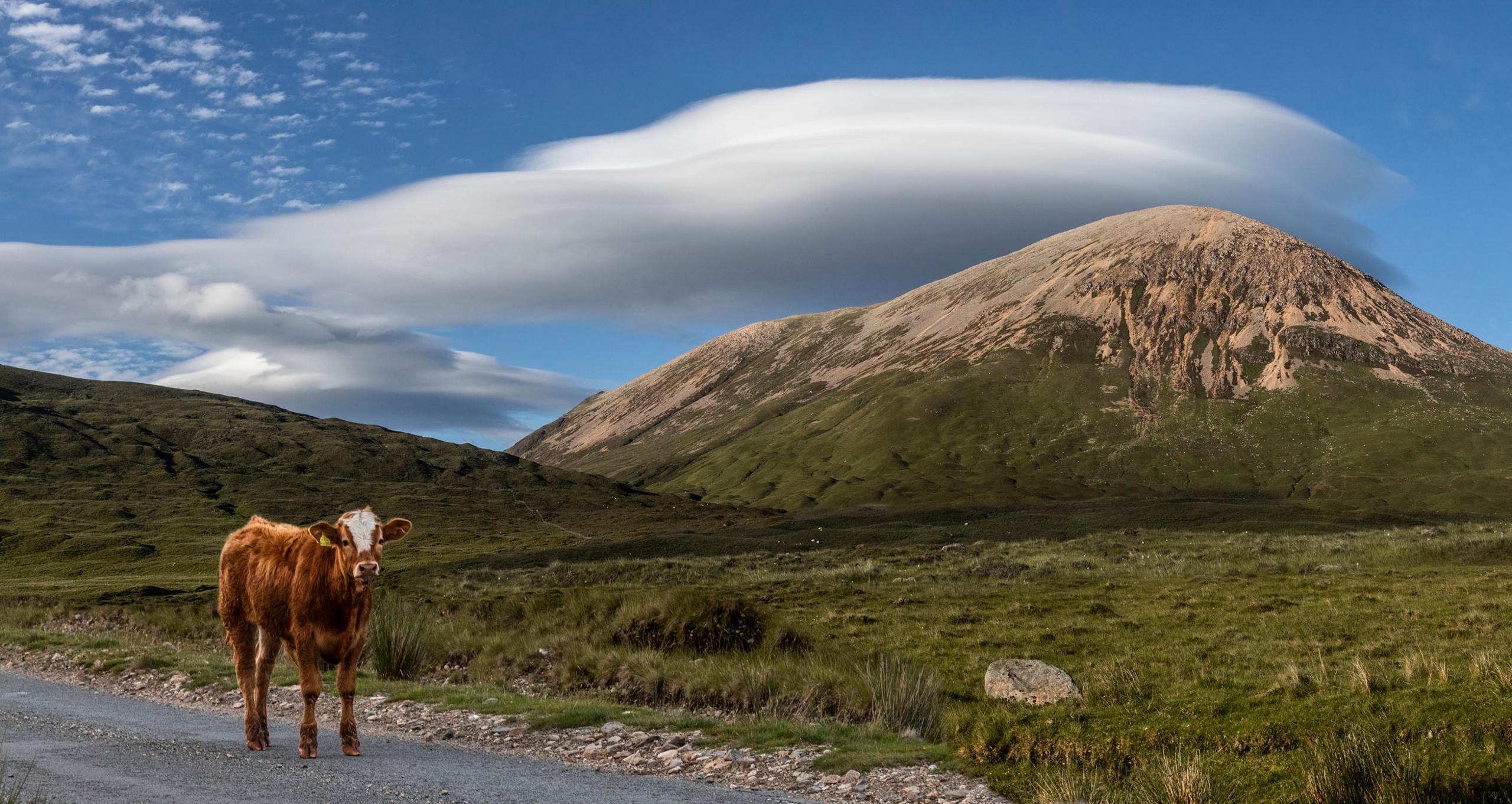 Louise Love, Broadford, Isle of Skye