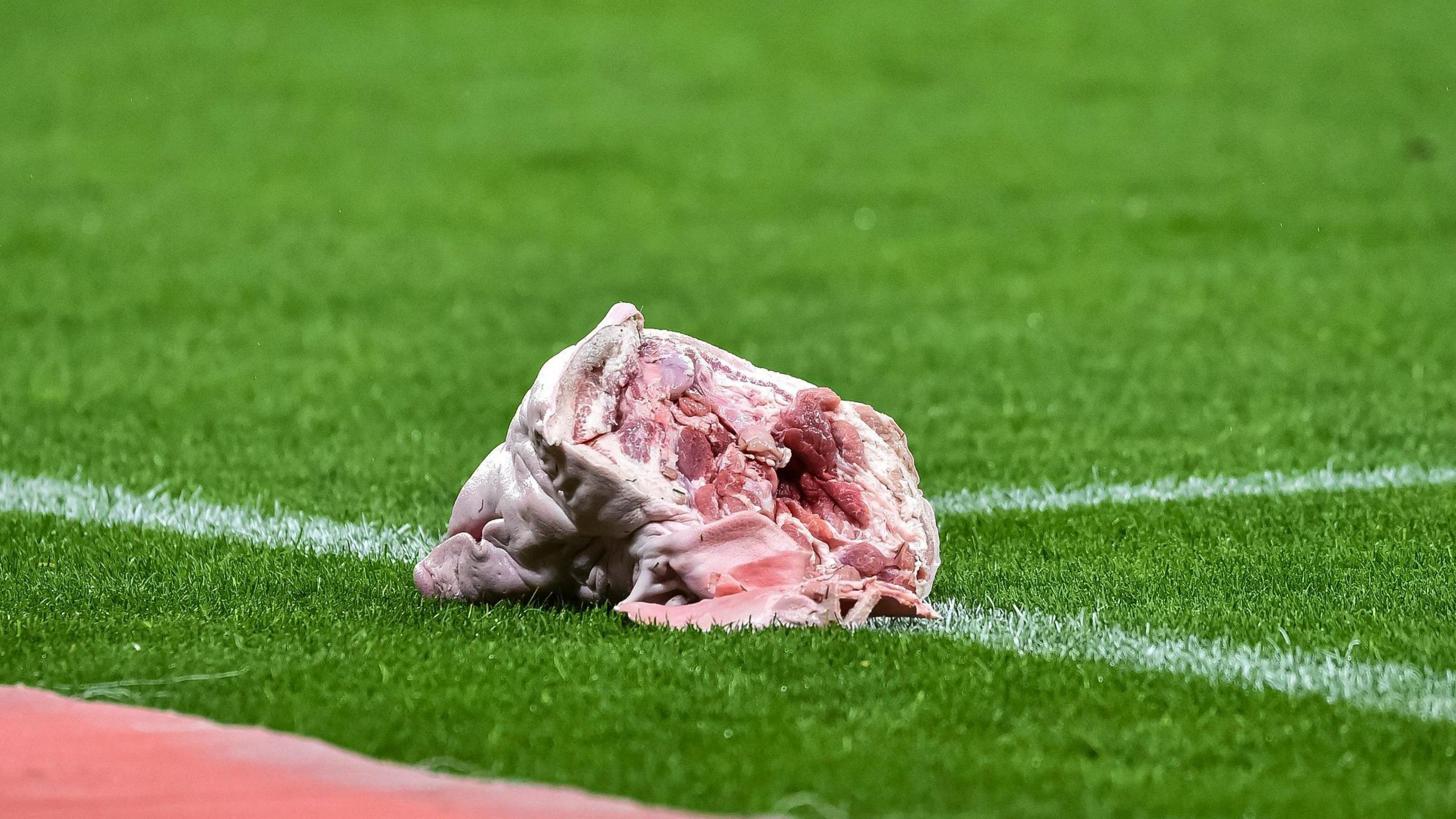 The pig's head which was thrown on to the pitch in the Sao Paulo derby