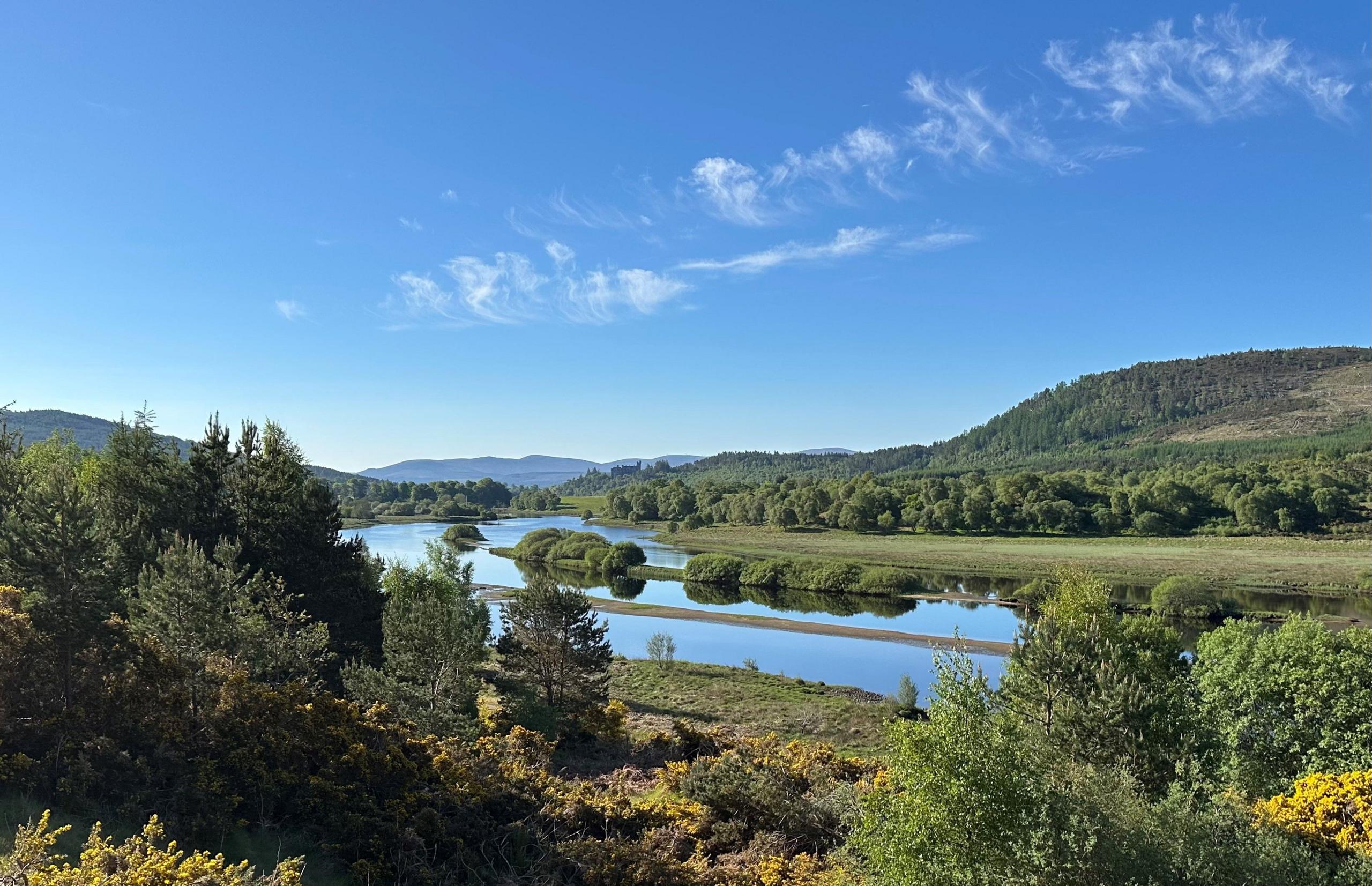 The Kyle of Sutherland at Invershin - all green grass, blue lochs and clear skies
