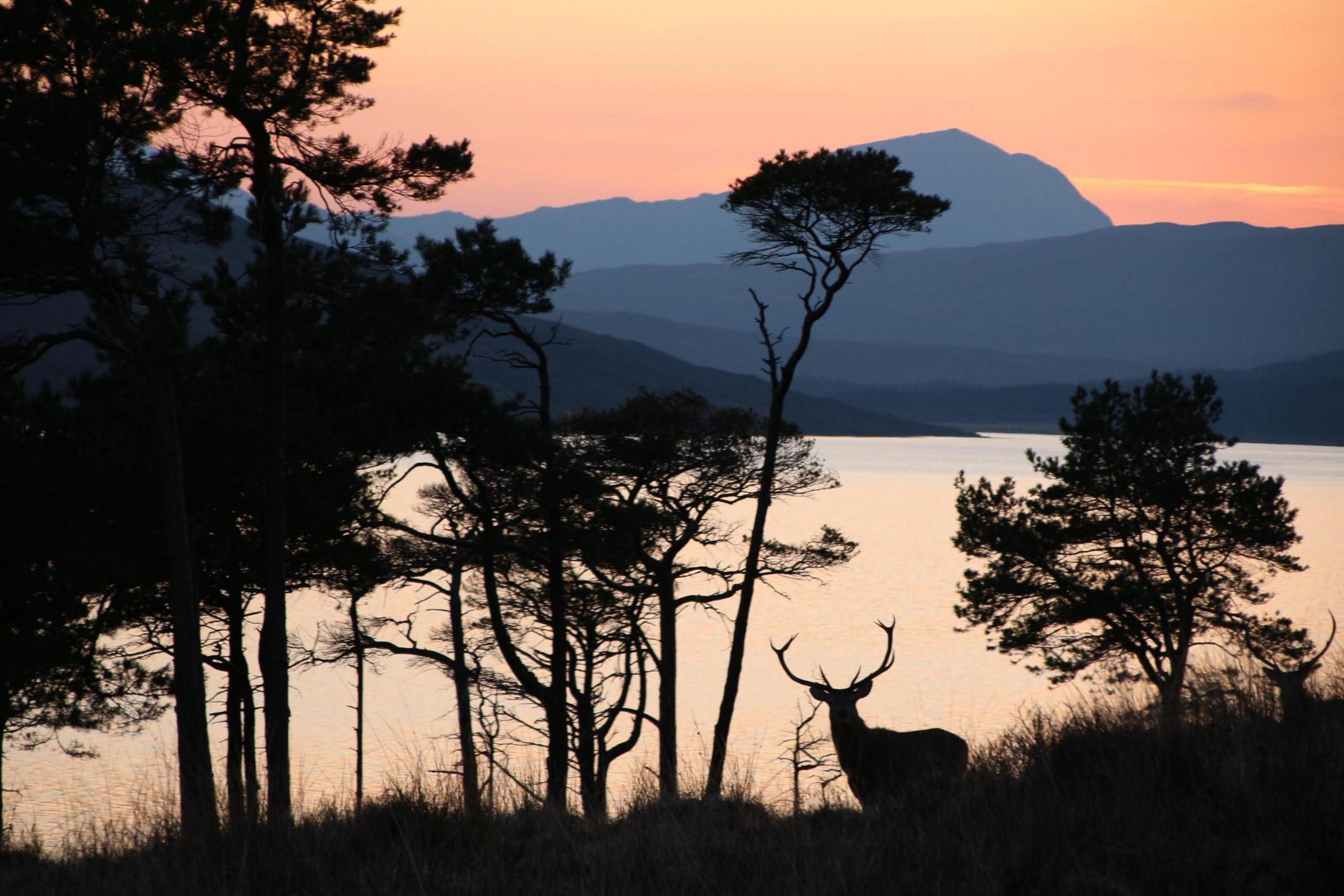 Loch a' Chroisg near Achnasheen